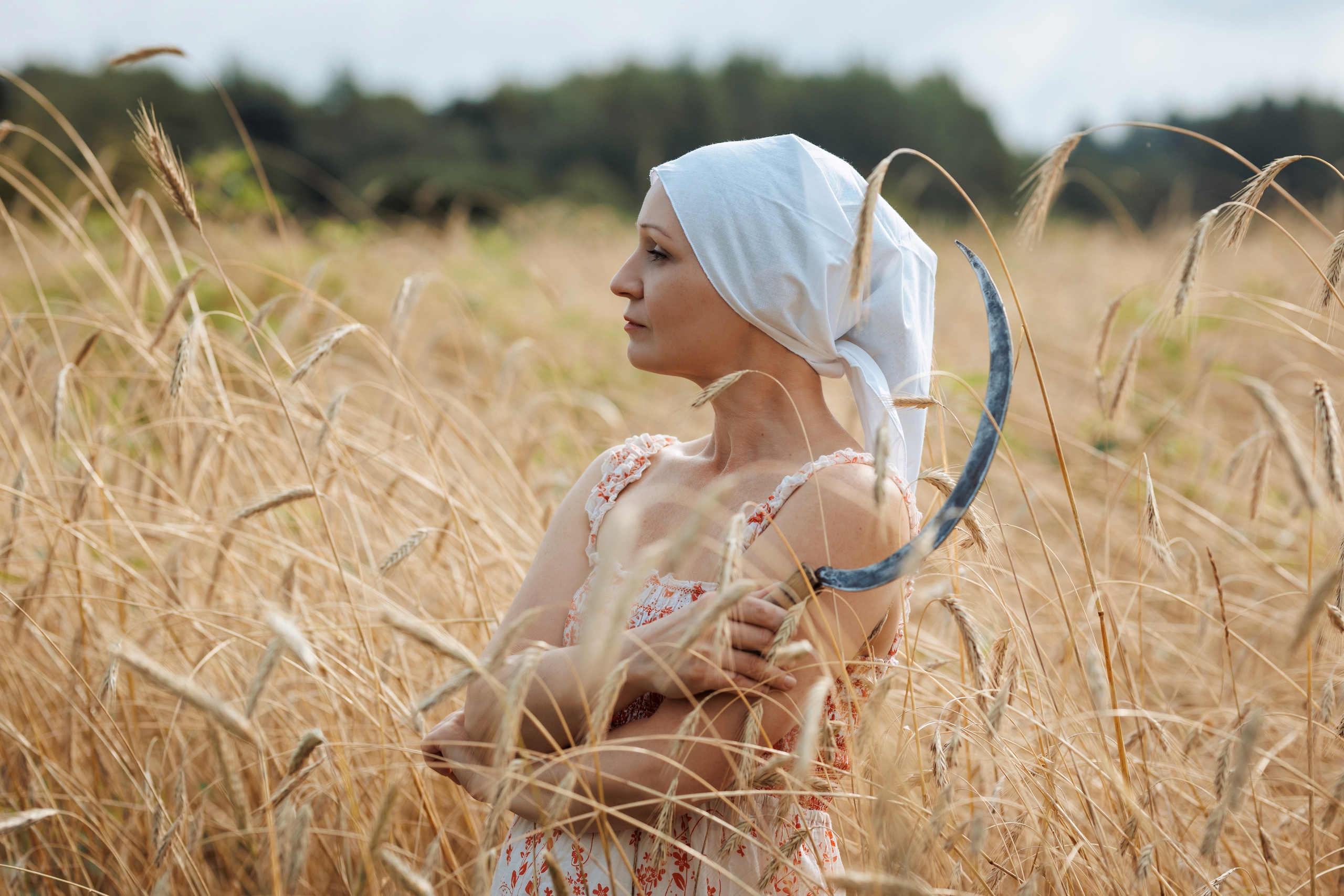 2025-08-10. Пшеничное поле