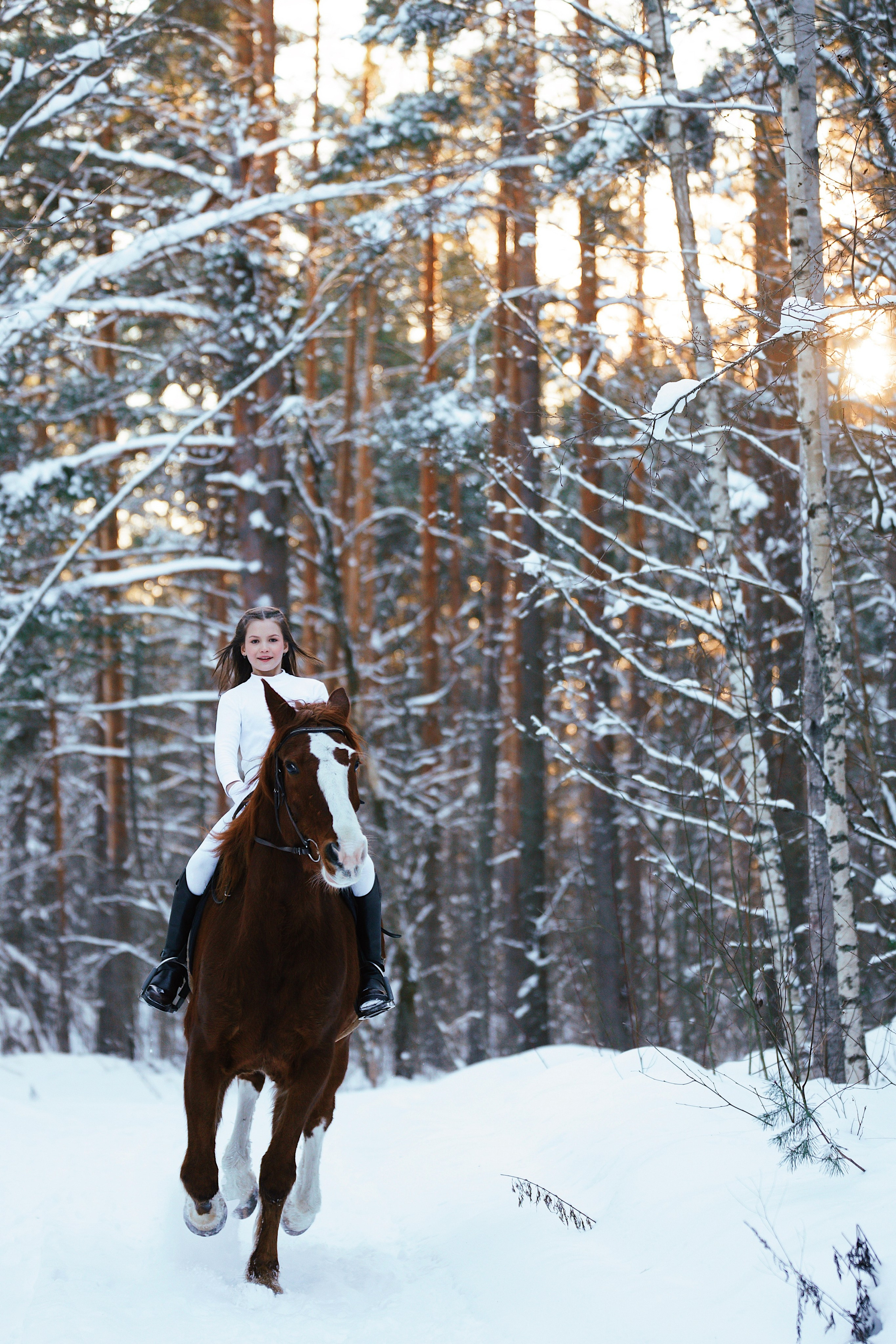 Конные. Фотограф Сибирика (Ирина Кузнецова), Санкт-Петербург и ЛО — портреты, свадьбы и семейные съемки. Творческий подход и качественные фото