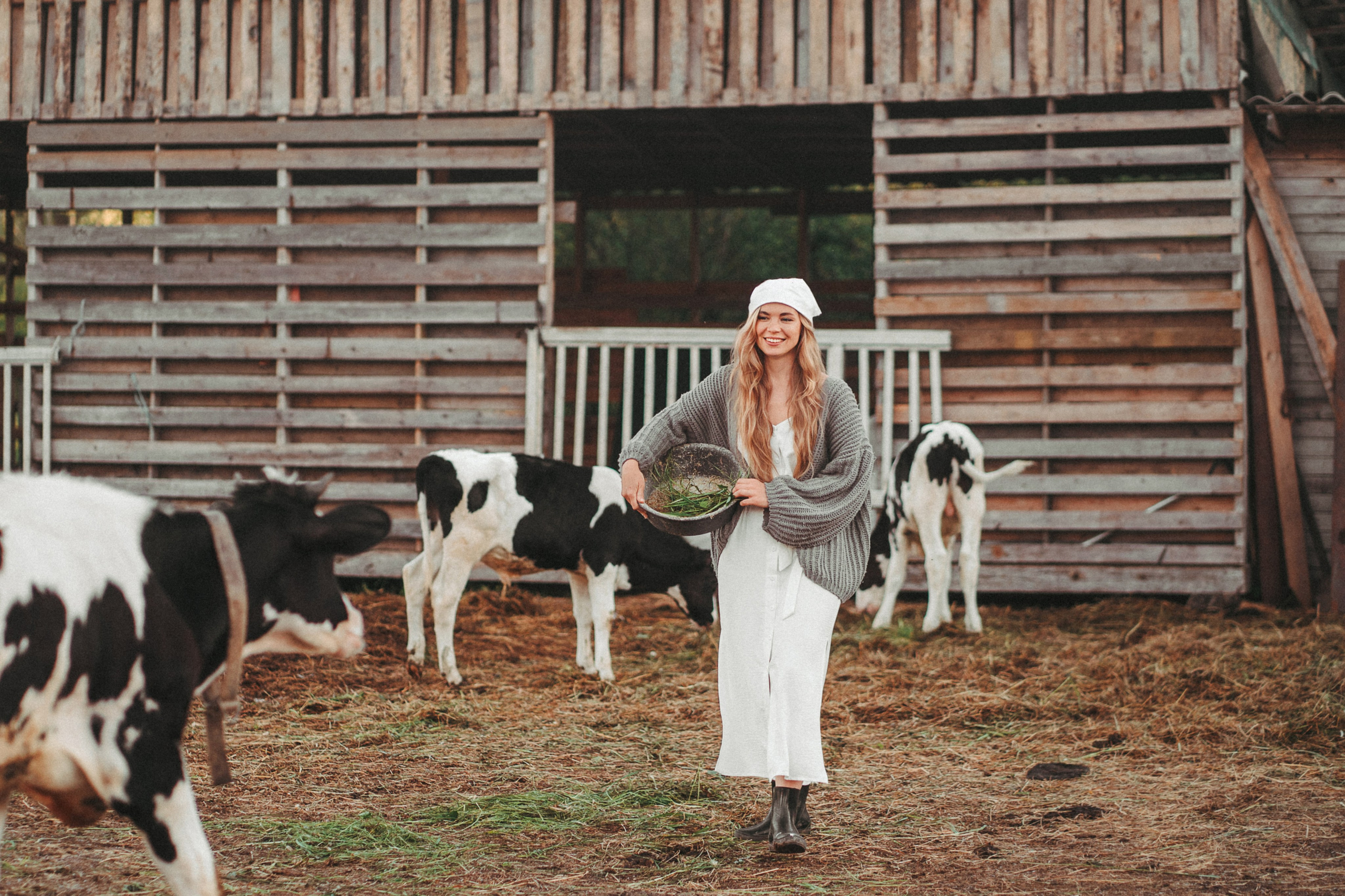 Художественные. Главная