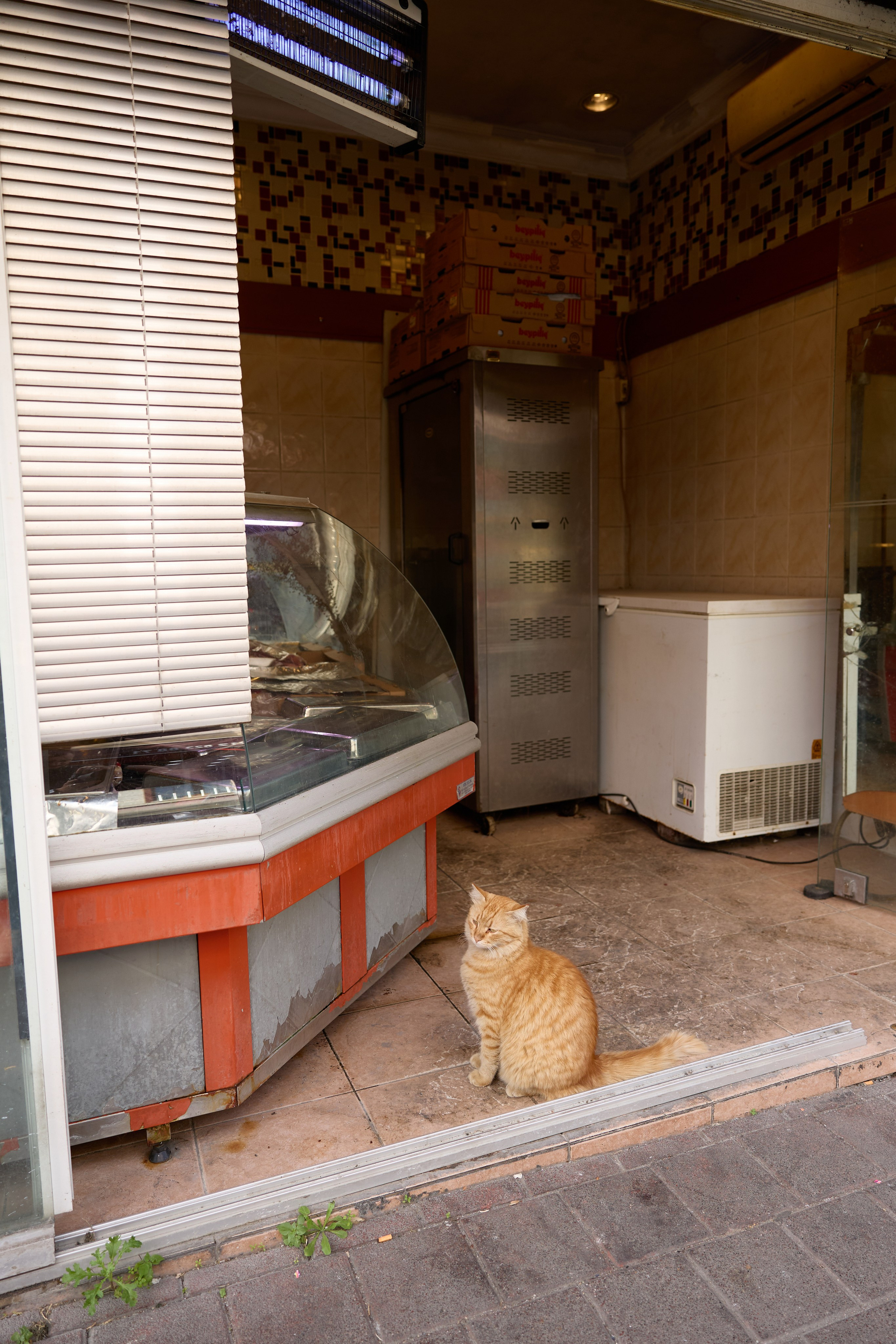 Стамбул 24. Фотограф Москва, Дима Пеллер