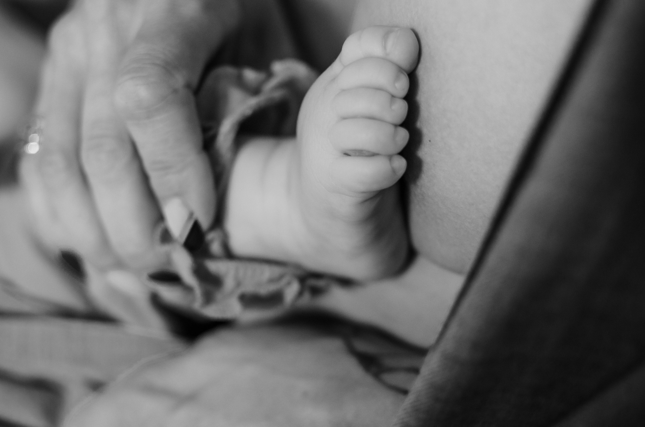 Анна И Софи