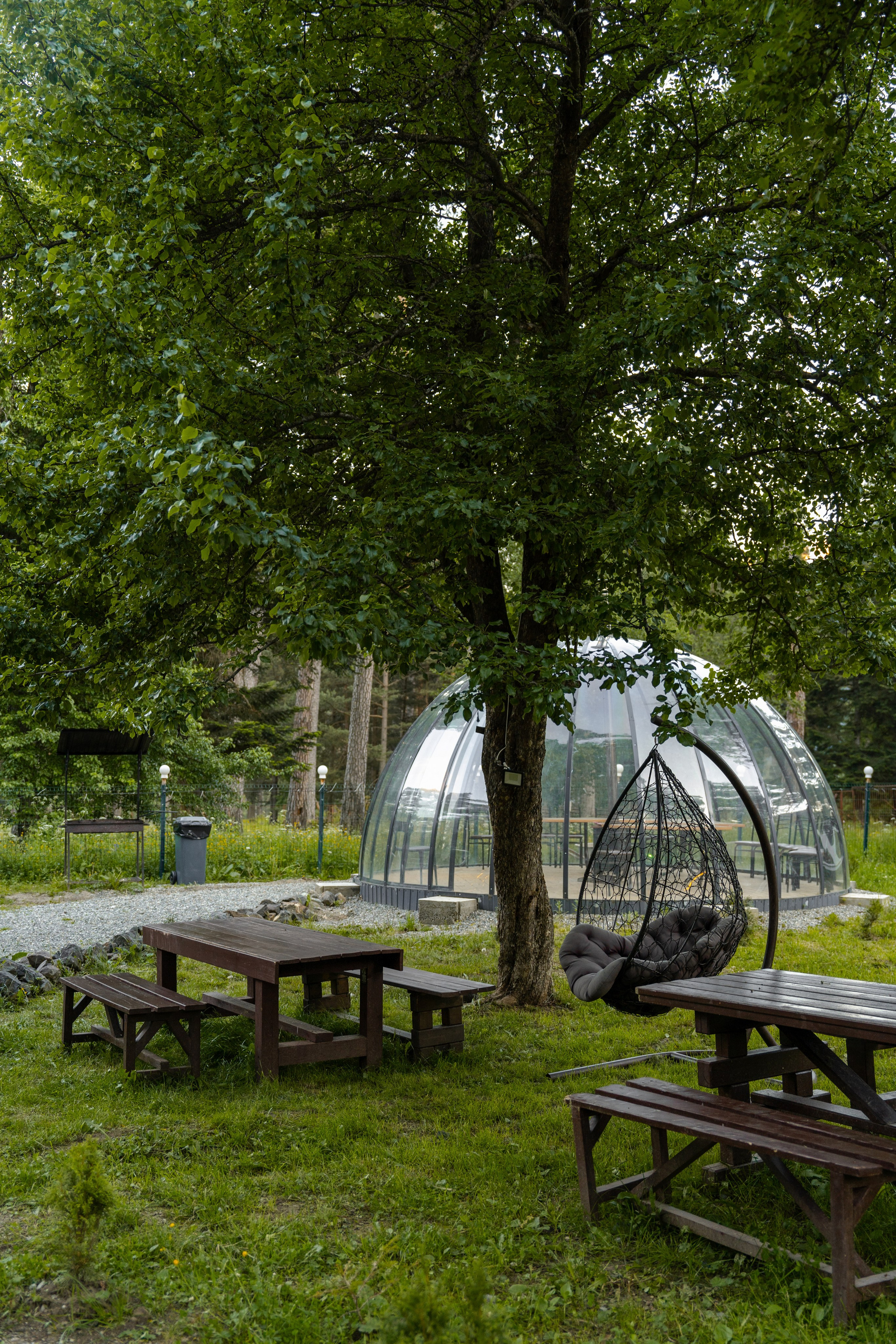 Green Park. Фотограф и видеограф Елена Хмелевская