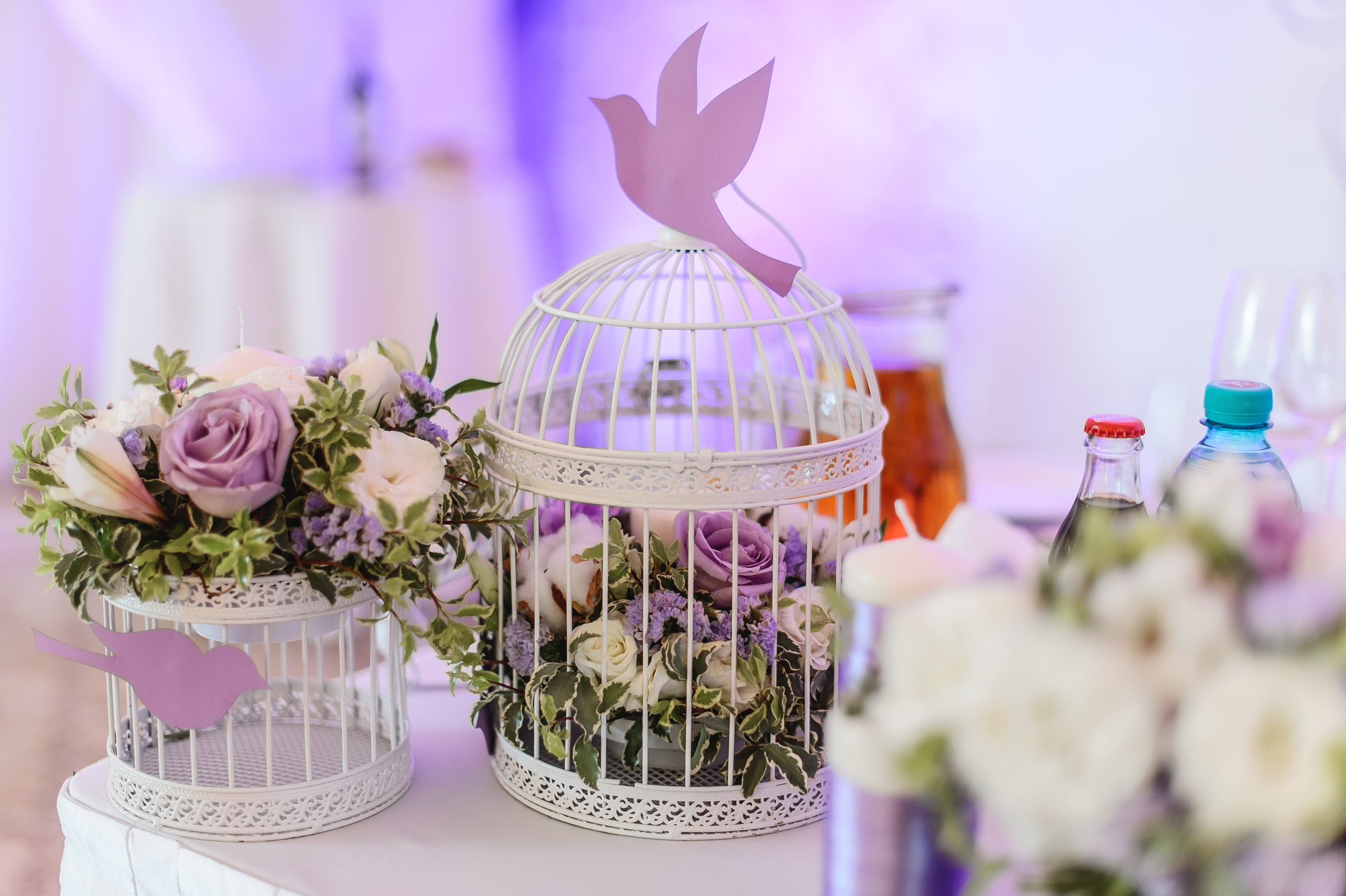 Свадьба Константина и Наргизы 8 мая 2015 года. Ведущий на свадьбу, корпоратив и юбилей в Москве Сергей Рябинин