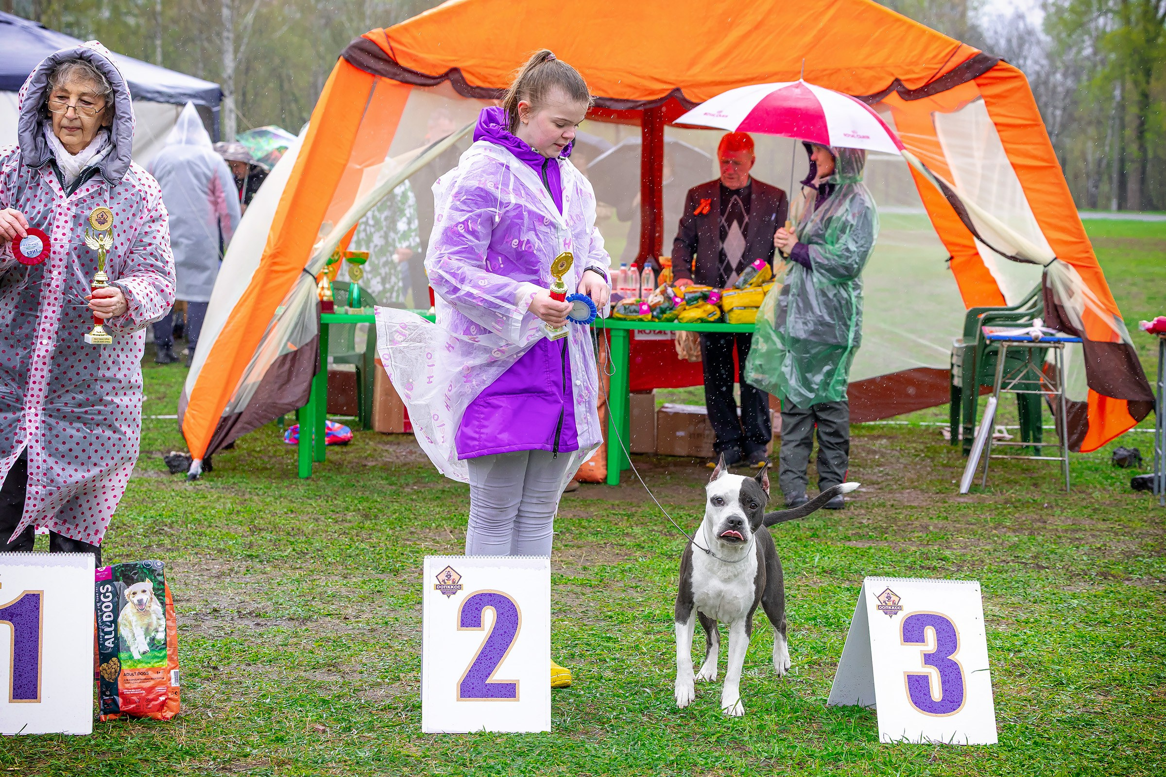 11 мая 2025, Выставка РКФ, г. Пермь. Htykk_photo