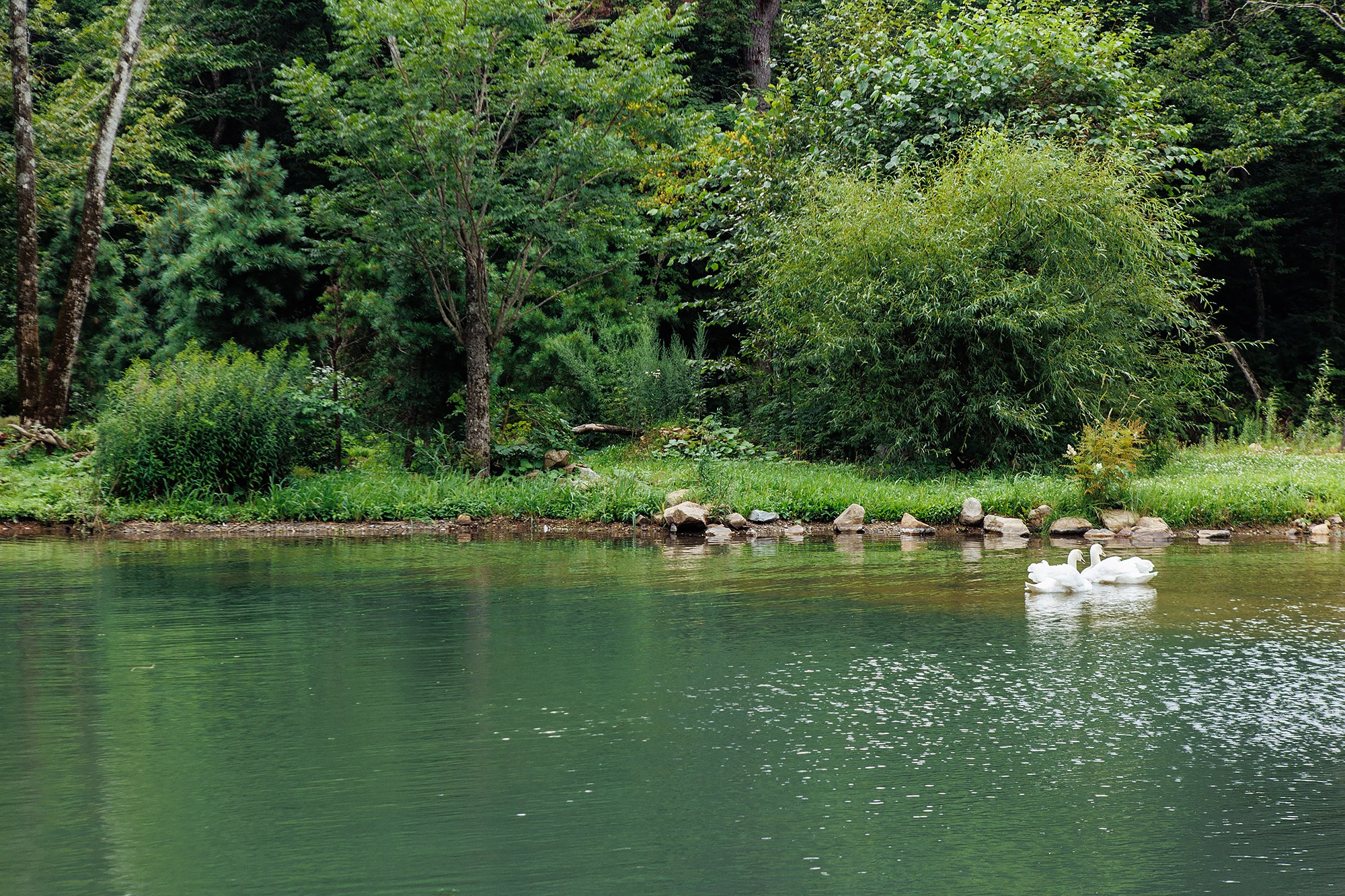 Костя и Даша 1.08.25. Свадебный фотограф Владивосток Алина Гевондова