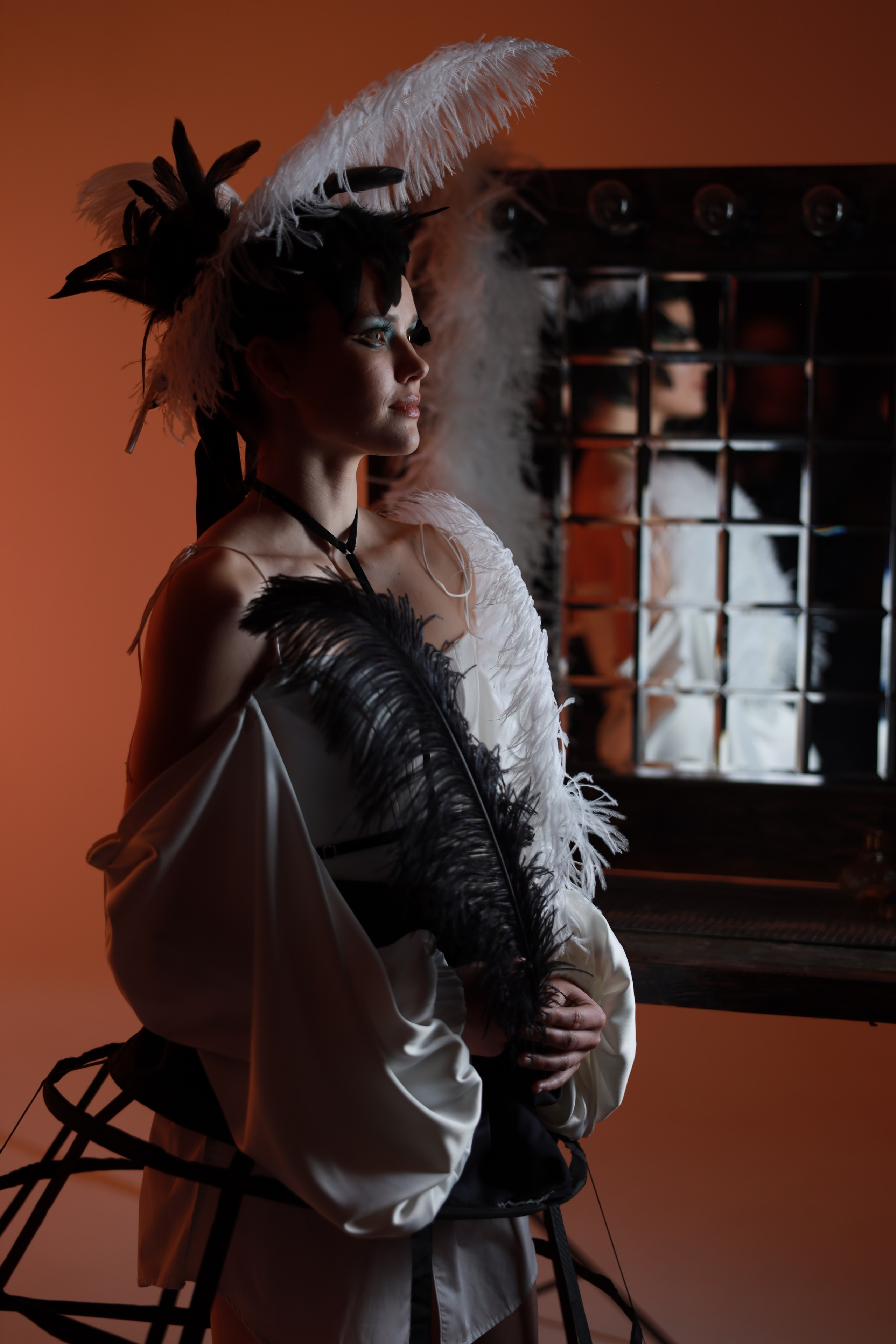 Перья. Съемка в студии под ваш запрос, студийные съемки, фотографии архитектурных объектов — Александр Евстигнеев — фотограф Москва