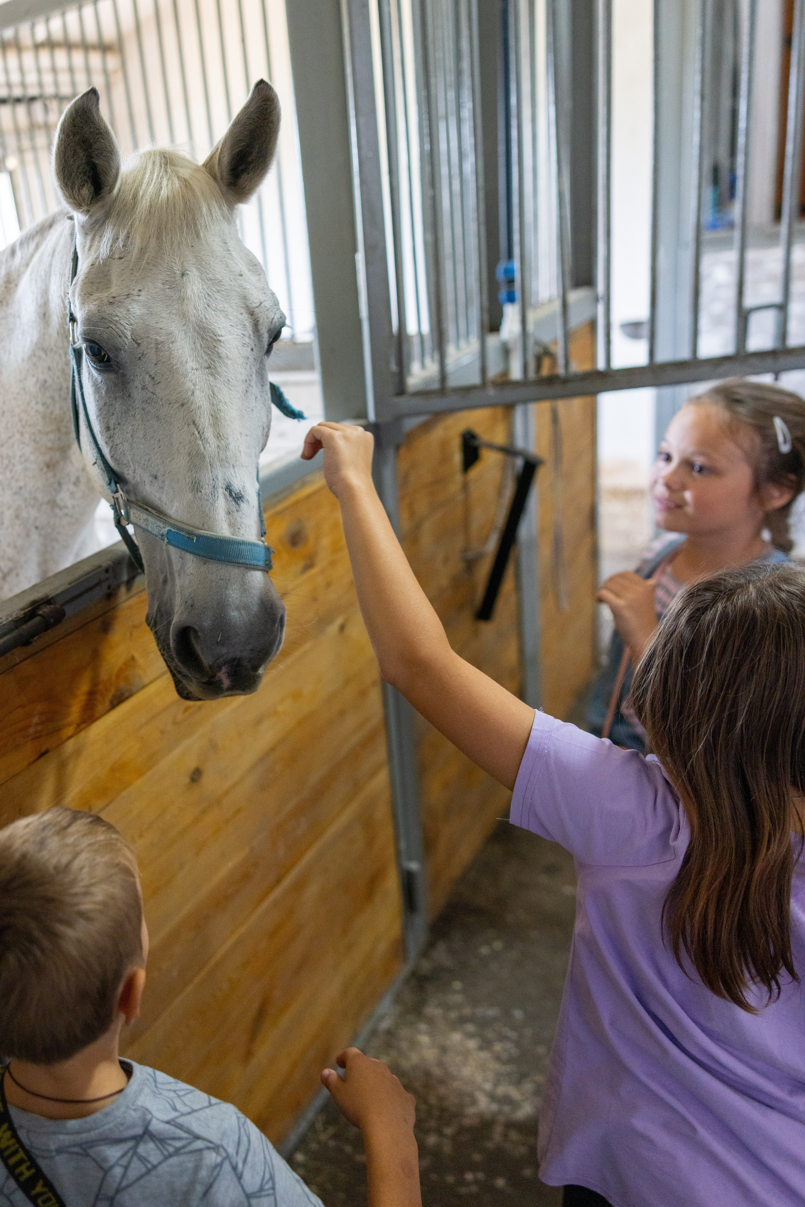 Поездка на поле Кулеково. Фотограф в Туле Крупский АнДРей. Фотостудия «КАДР71» в Туле