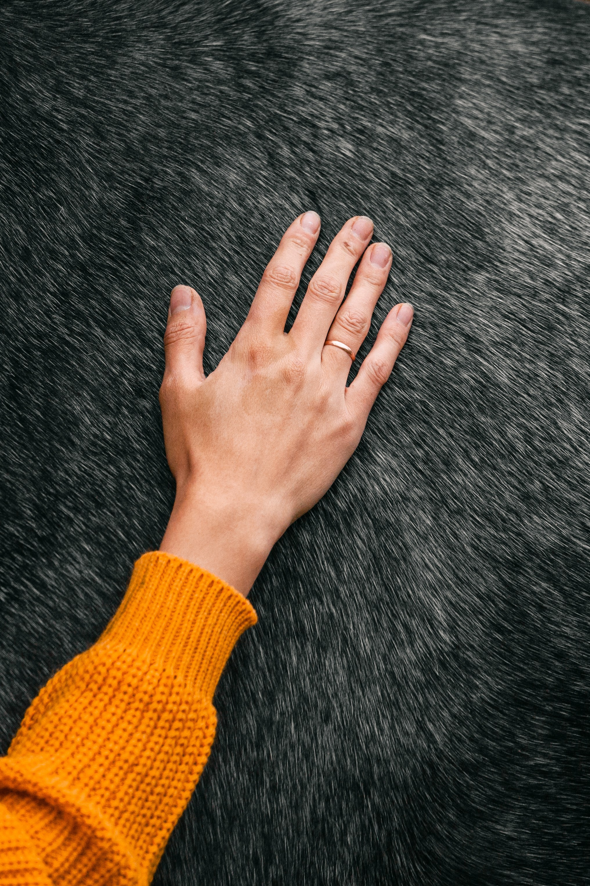 Аня и Джози. Фотограф-анималист Татьяна Степанова