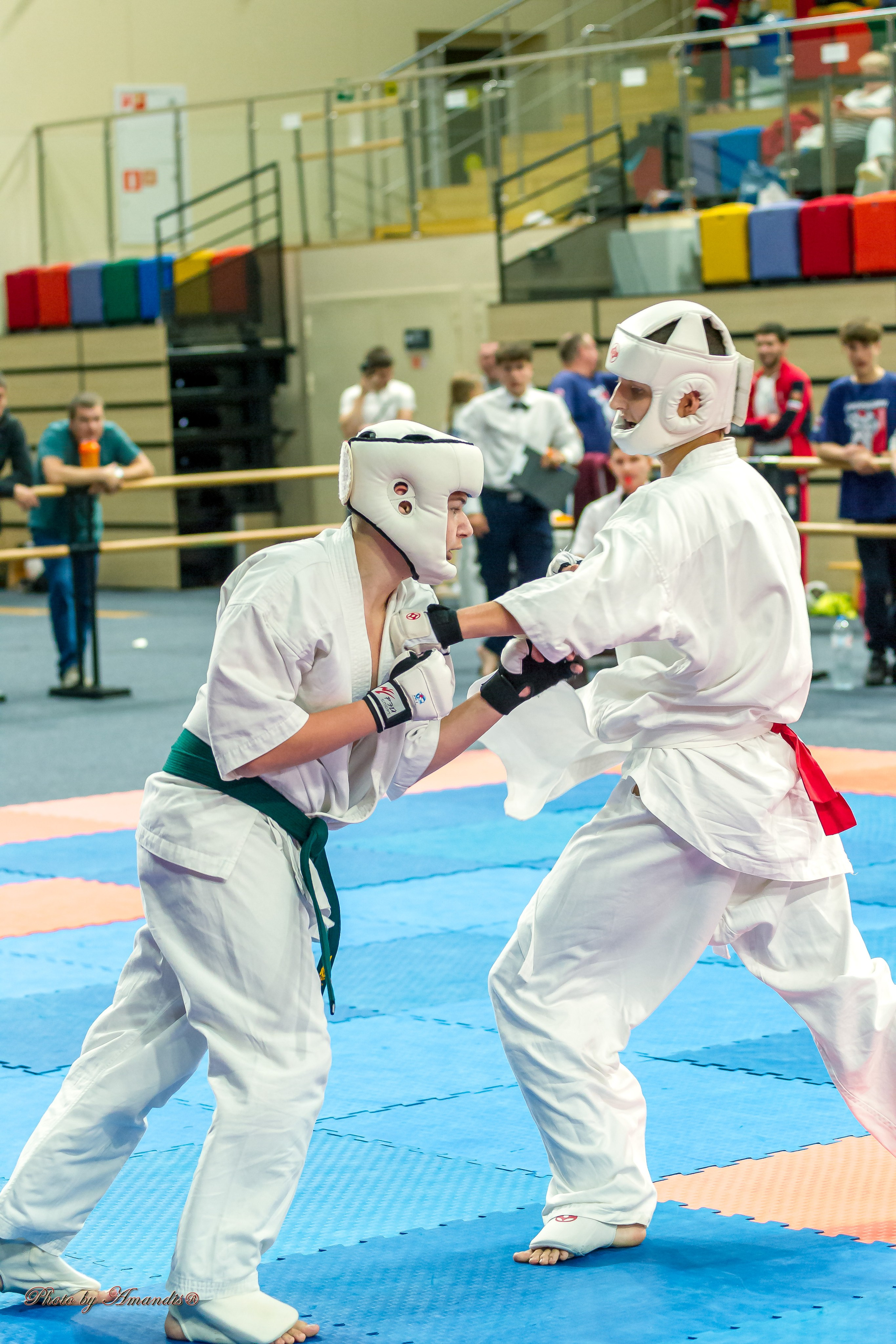 Первенство Московской области по Киокушин в СК «Жаворонки». Репортажная съемка в Москве и области. Анималистика