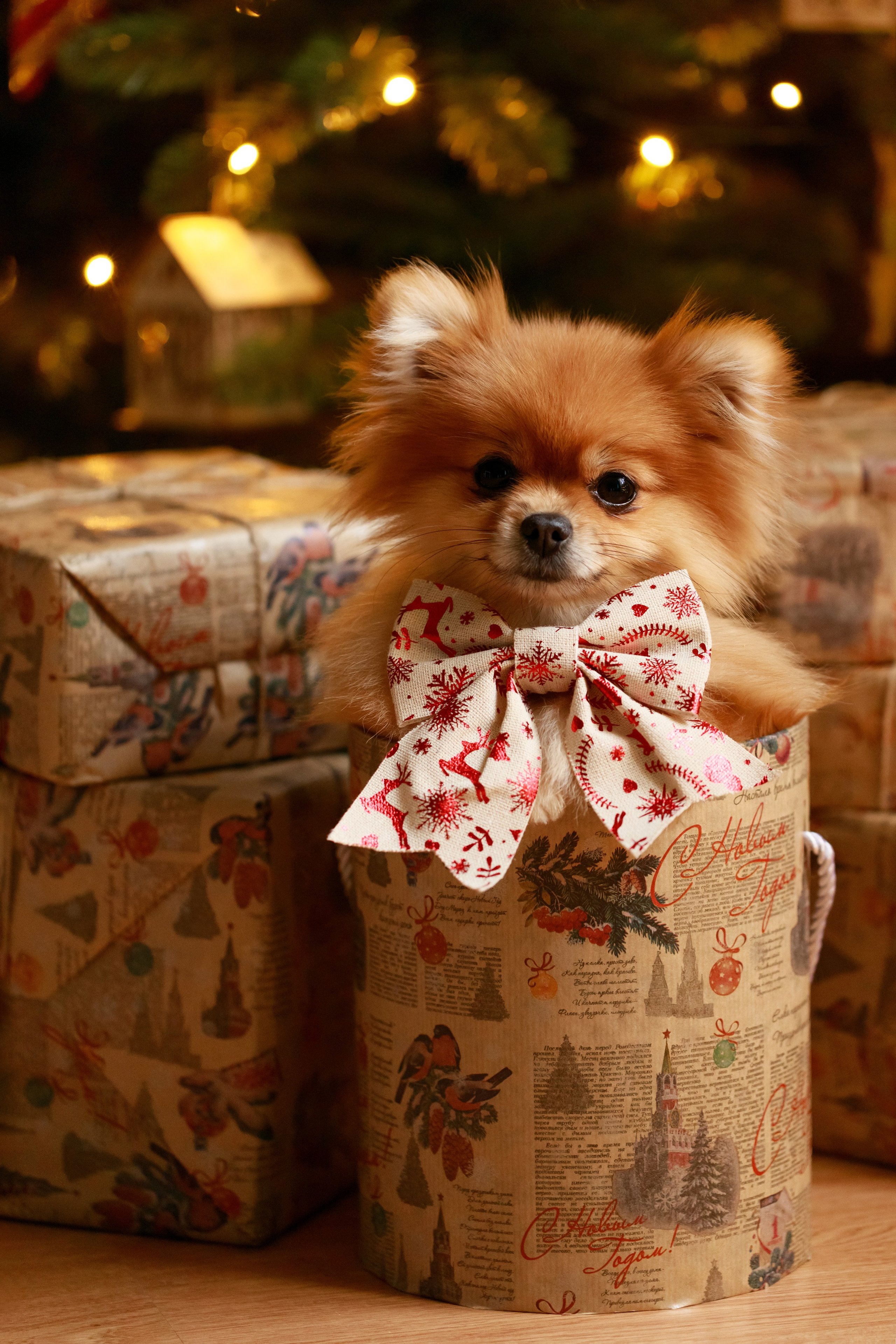 ПОРТФОЛИО. Детский и семейный фотограф в Калининграде Надежда Гриднева