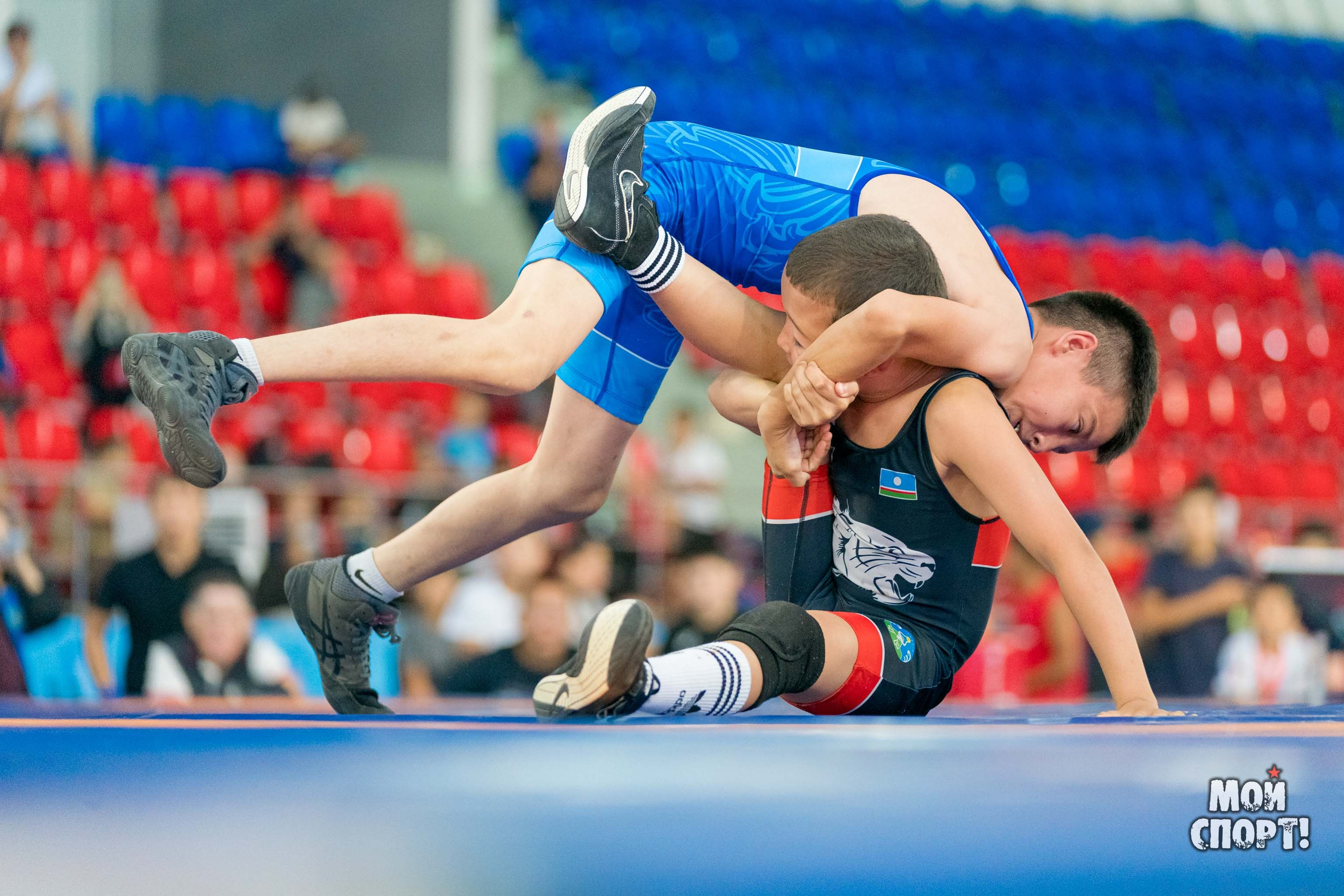 Соревнования по вольной борьбе в честь П. П. Пинигина. Студия «Мой Спорт!» — все о спорте в Якутии