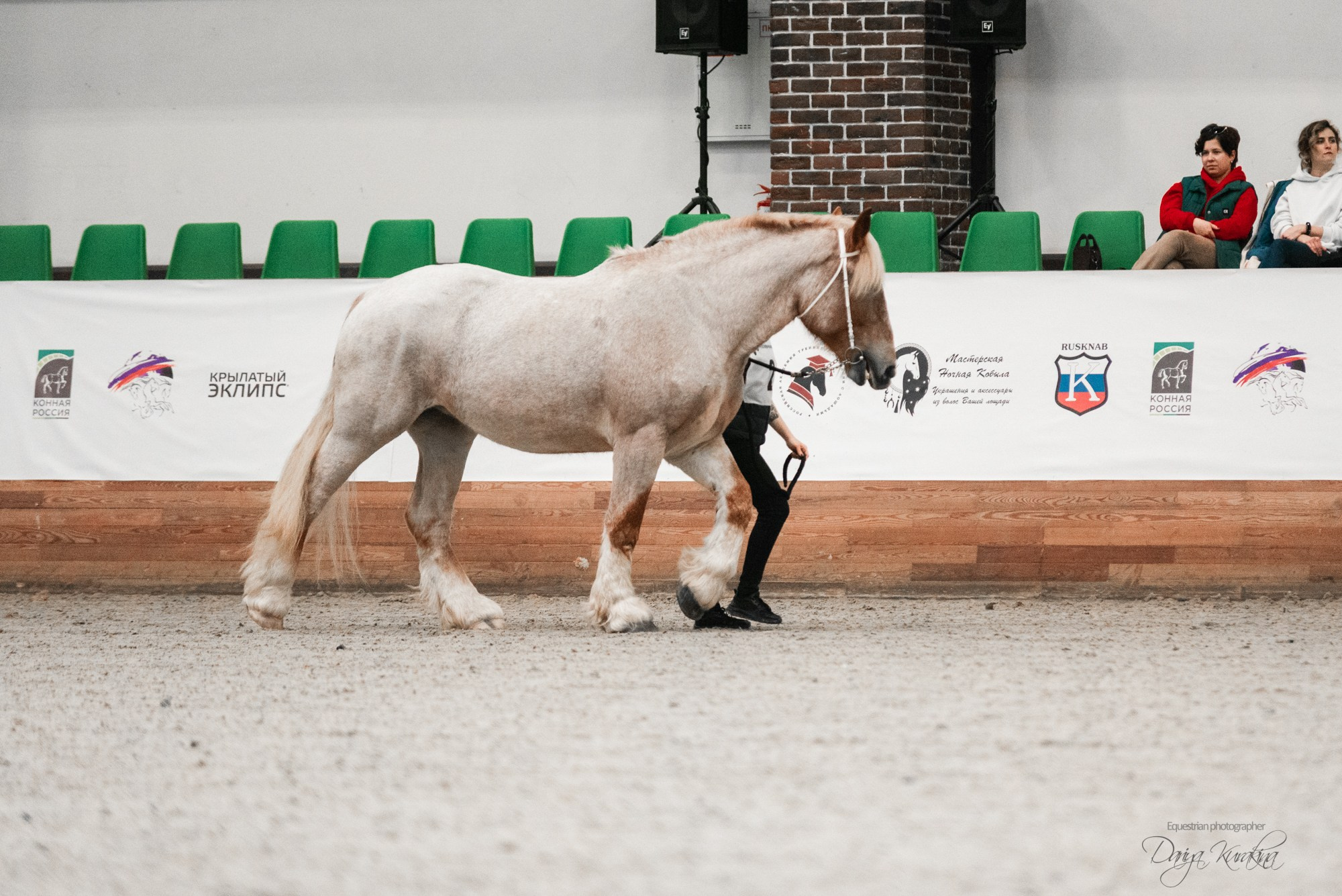 8-я международная выставка Конная Россия. Конный фотограф Куракина Дарья • Фотосессии с лошадьми