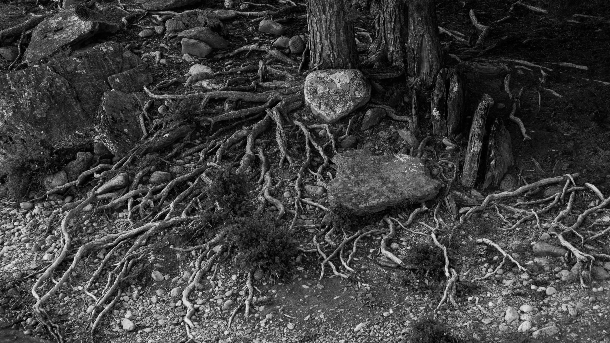 Путешествия. Anastasiia Kron