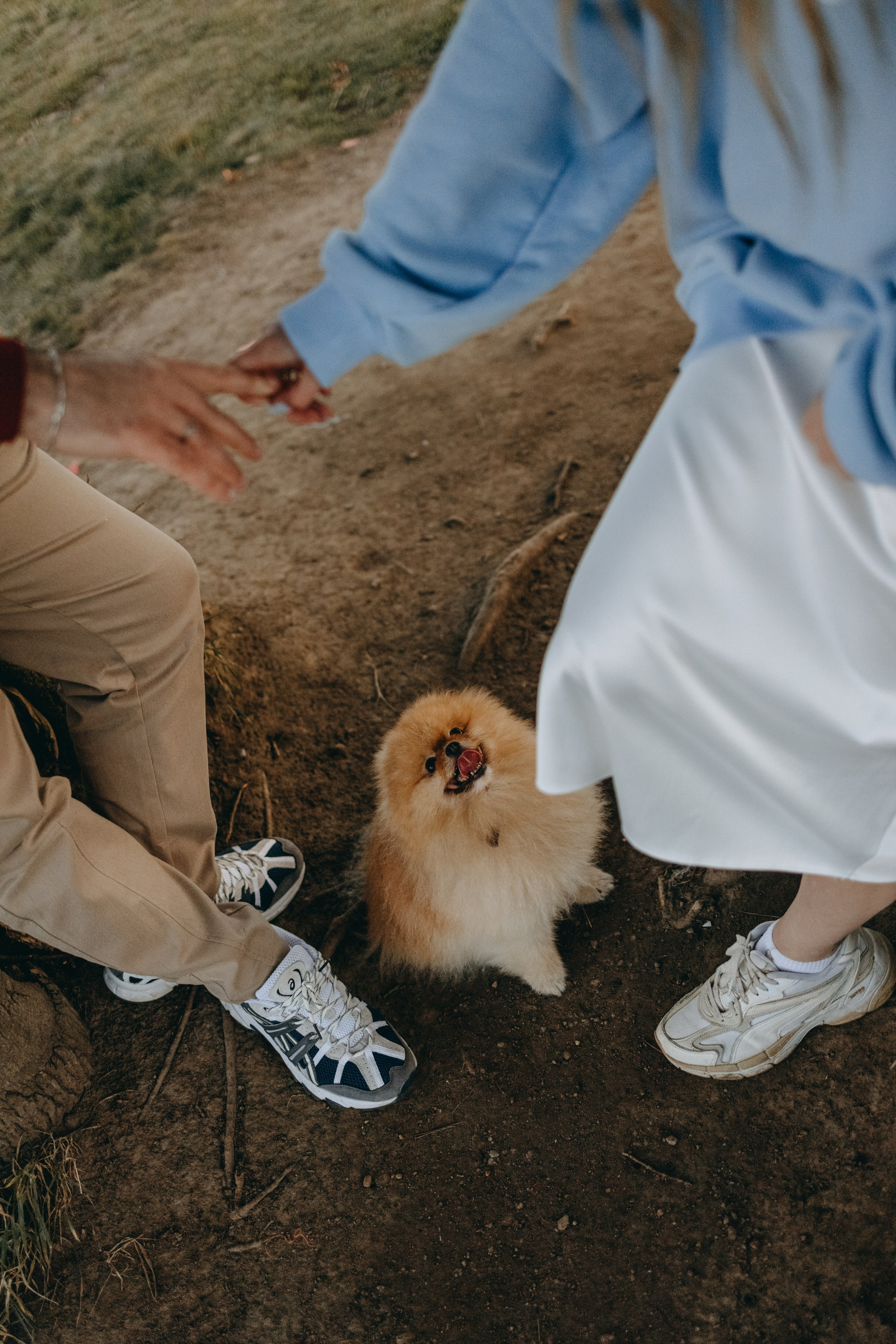 Стив и его семья. Фотограф — Анималист | Санкт-Петербург