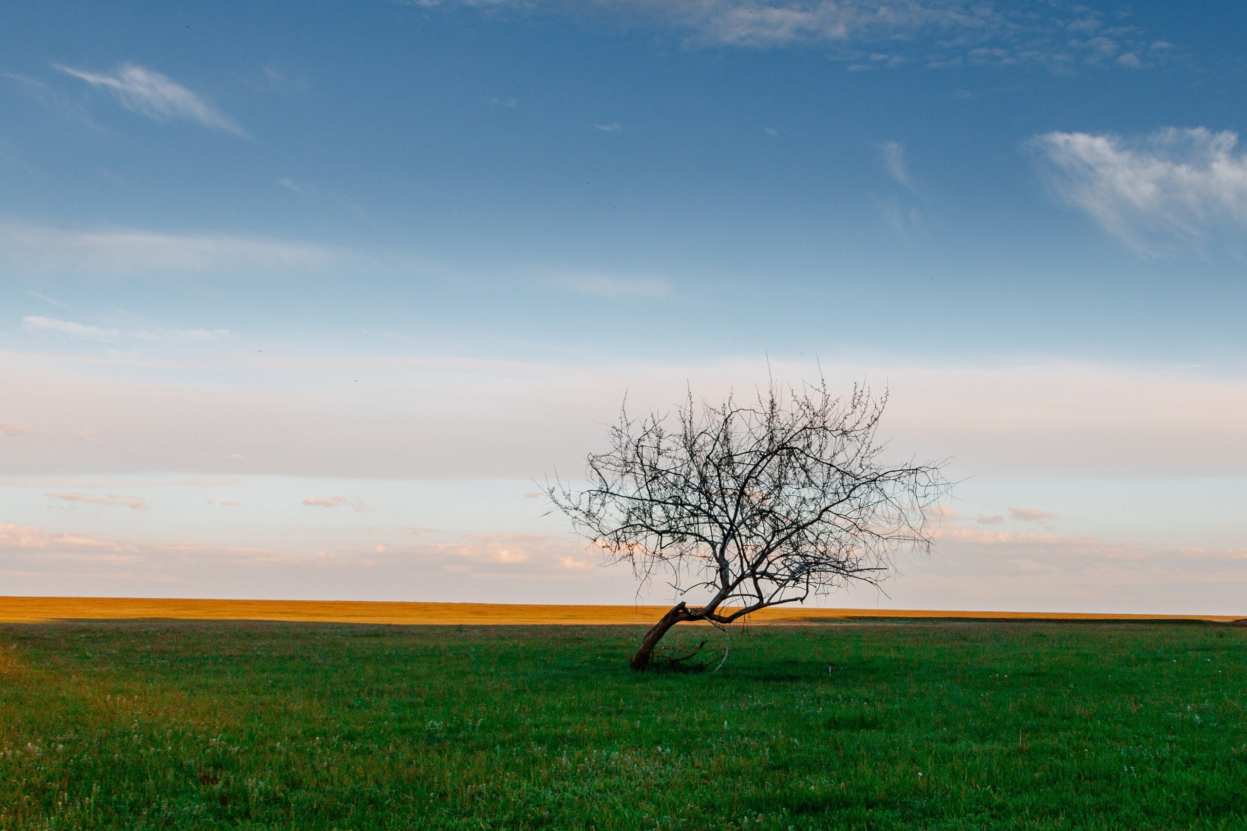 Пейзажи. Фотограф в Уральске | Трищенков Гордей