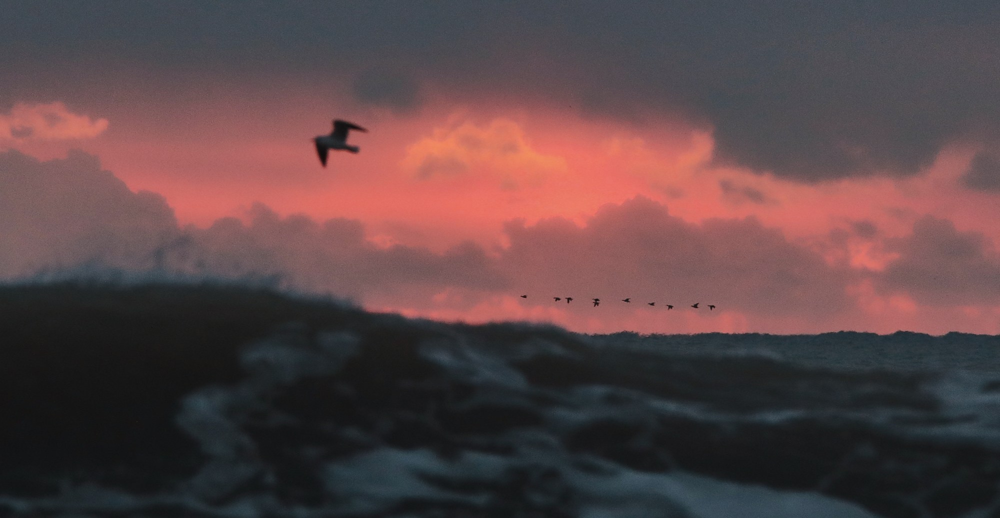 Море и серферы. Репортажный и постановочный Наталья Санникова