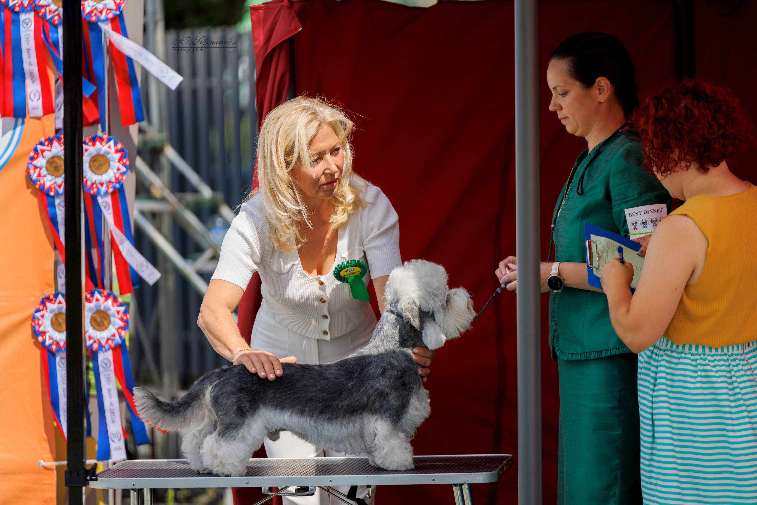 Калининград 25-27.07 Волгоград 1-3.08 2025. Фотограф-анималист Юлия Германика