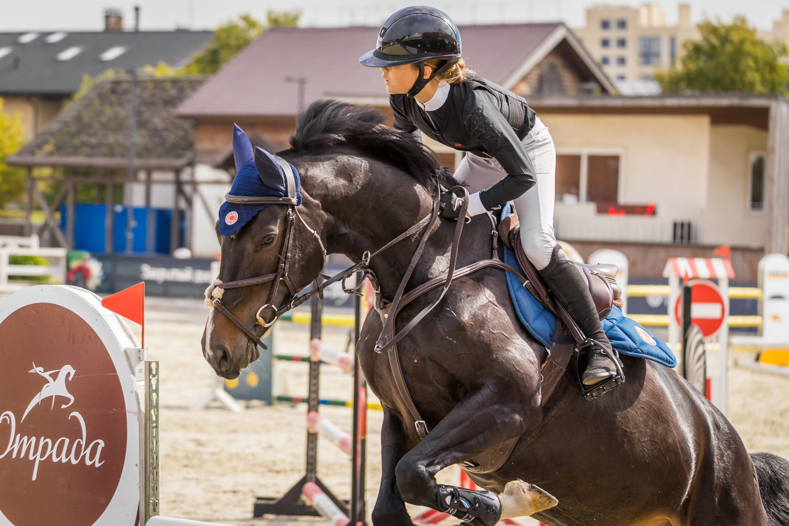 Конный спорт. Photomantis