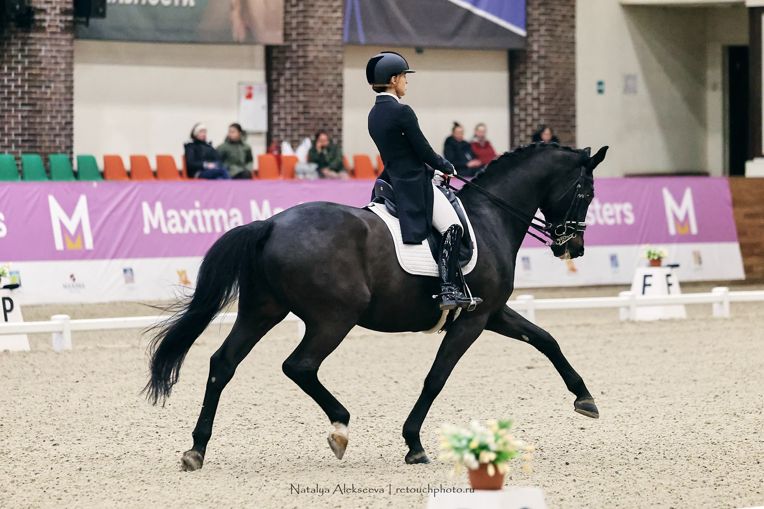 Maxima Masters Eurasia по выездке, Maxima Stables | 12'2023. Репортажный фотограф и ретушер в Москве Наталья Алексеева