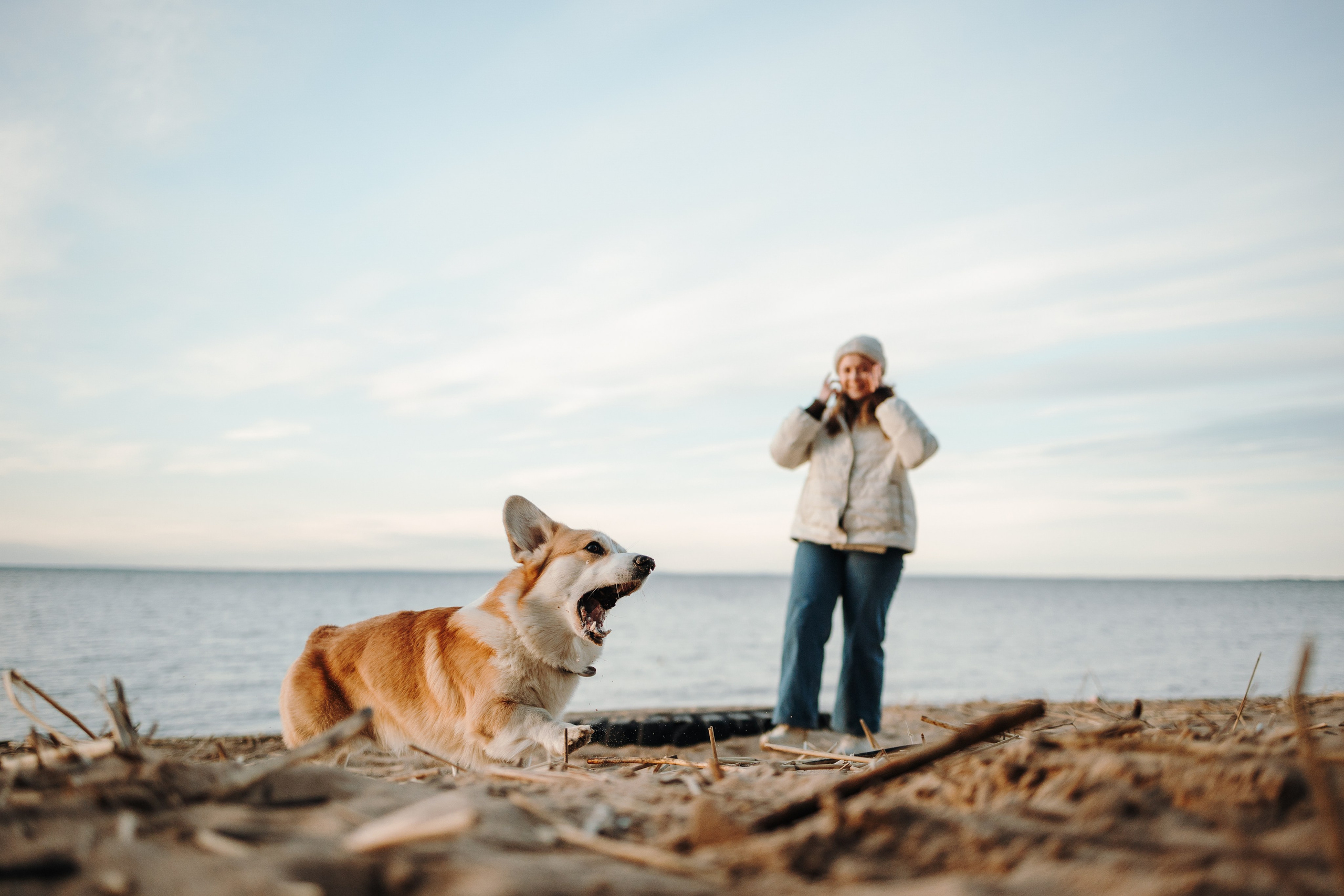 Найт и его семья. Фотограф — Анималист | Санкт-Петербург