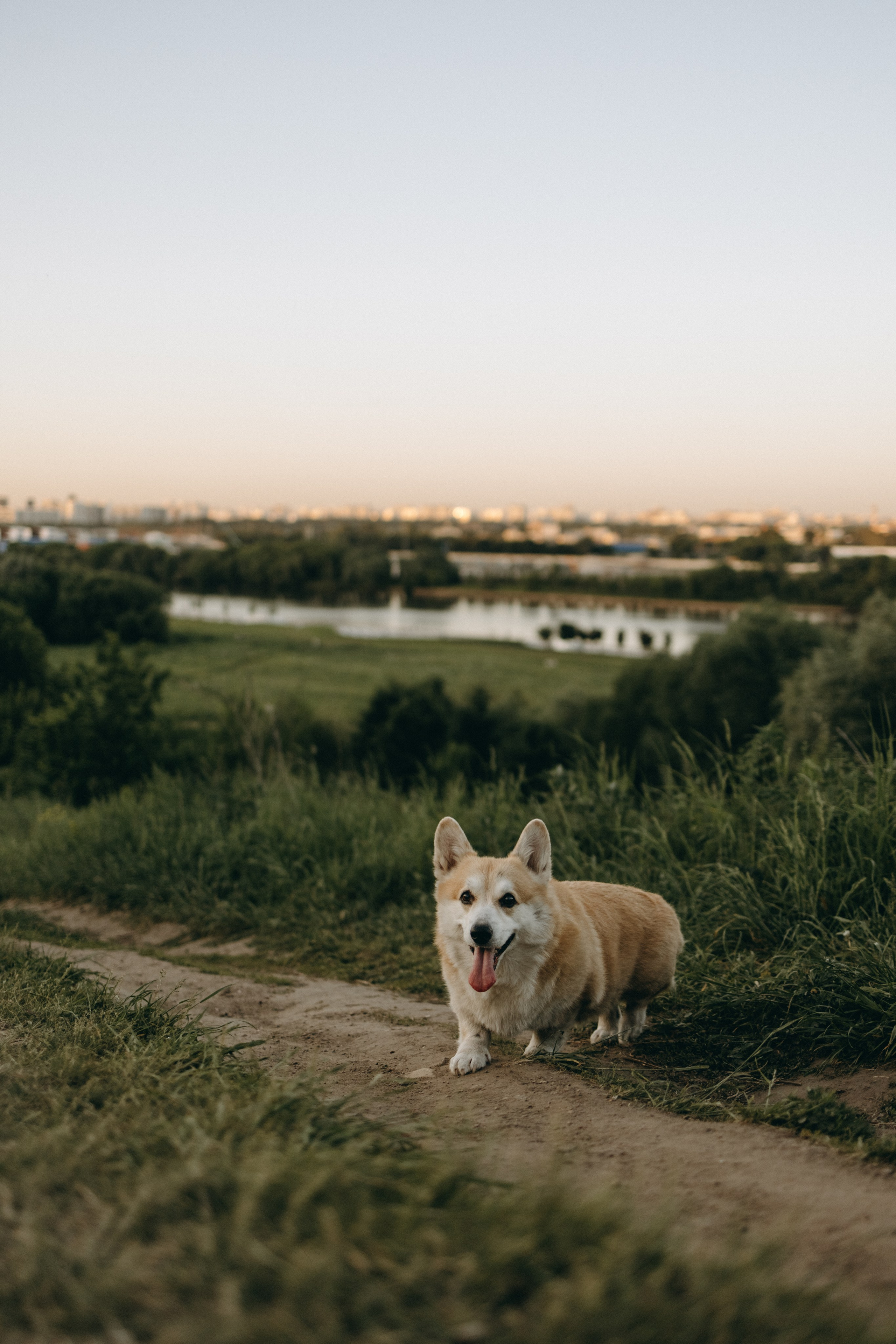 Кристина и Шелби. Фотограф — Анималист | Санкт-Петербург