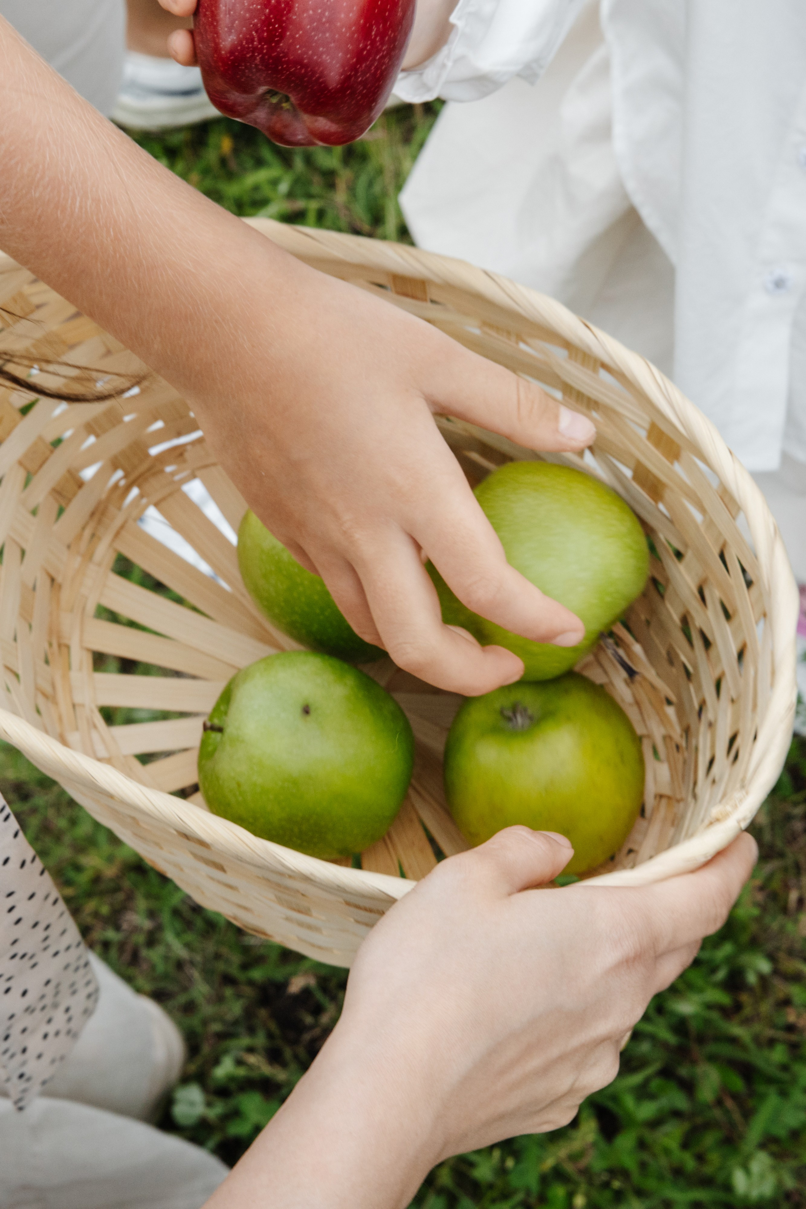ГЕНДЕР ПАТИ. Фотограф в Красноярске