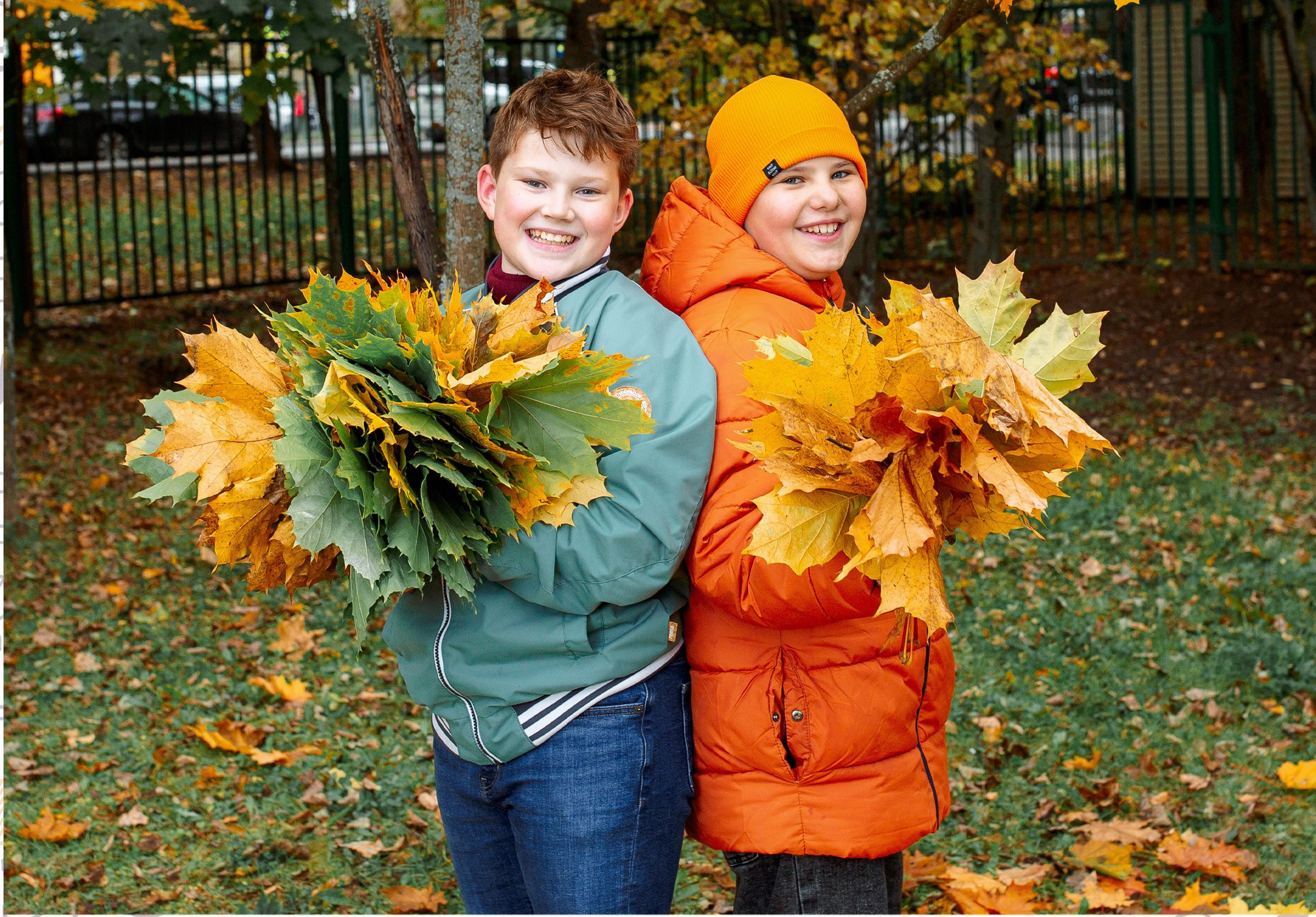 Школа 4-8 классы. Выпускные альбомы для детского сада и школы