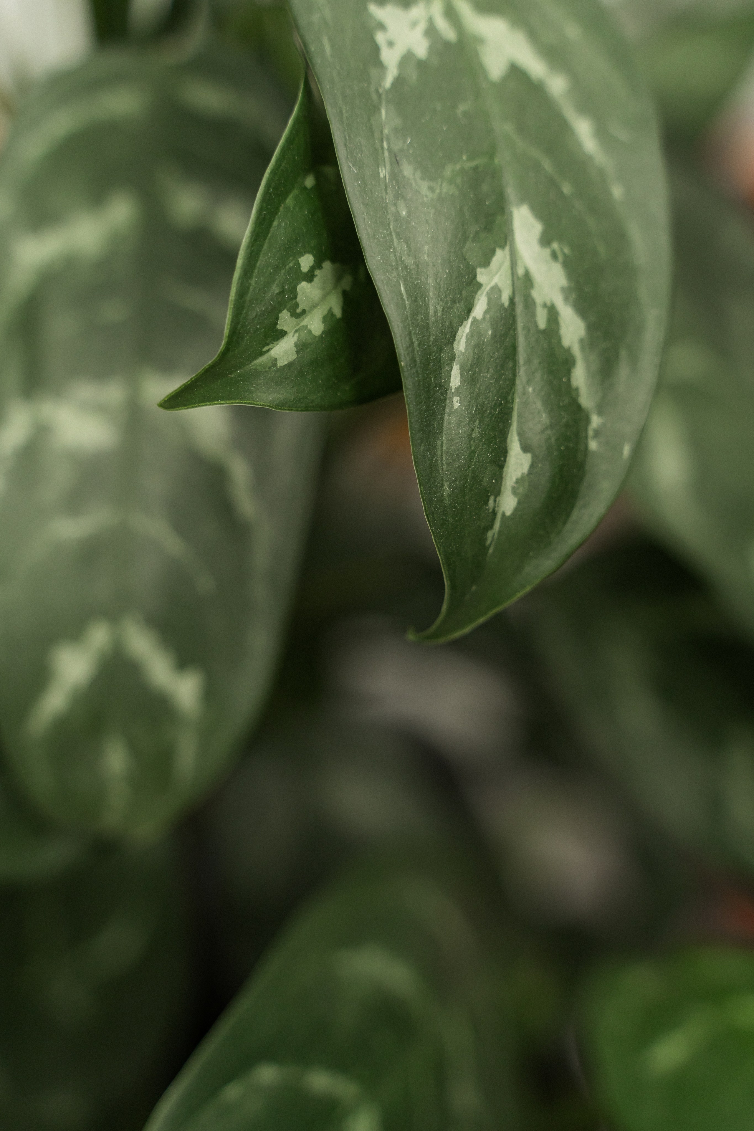 Парикмахер-колорист. Фотограф Алина Филимонова Тверь