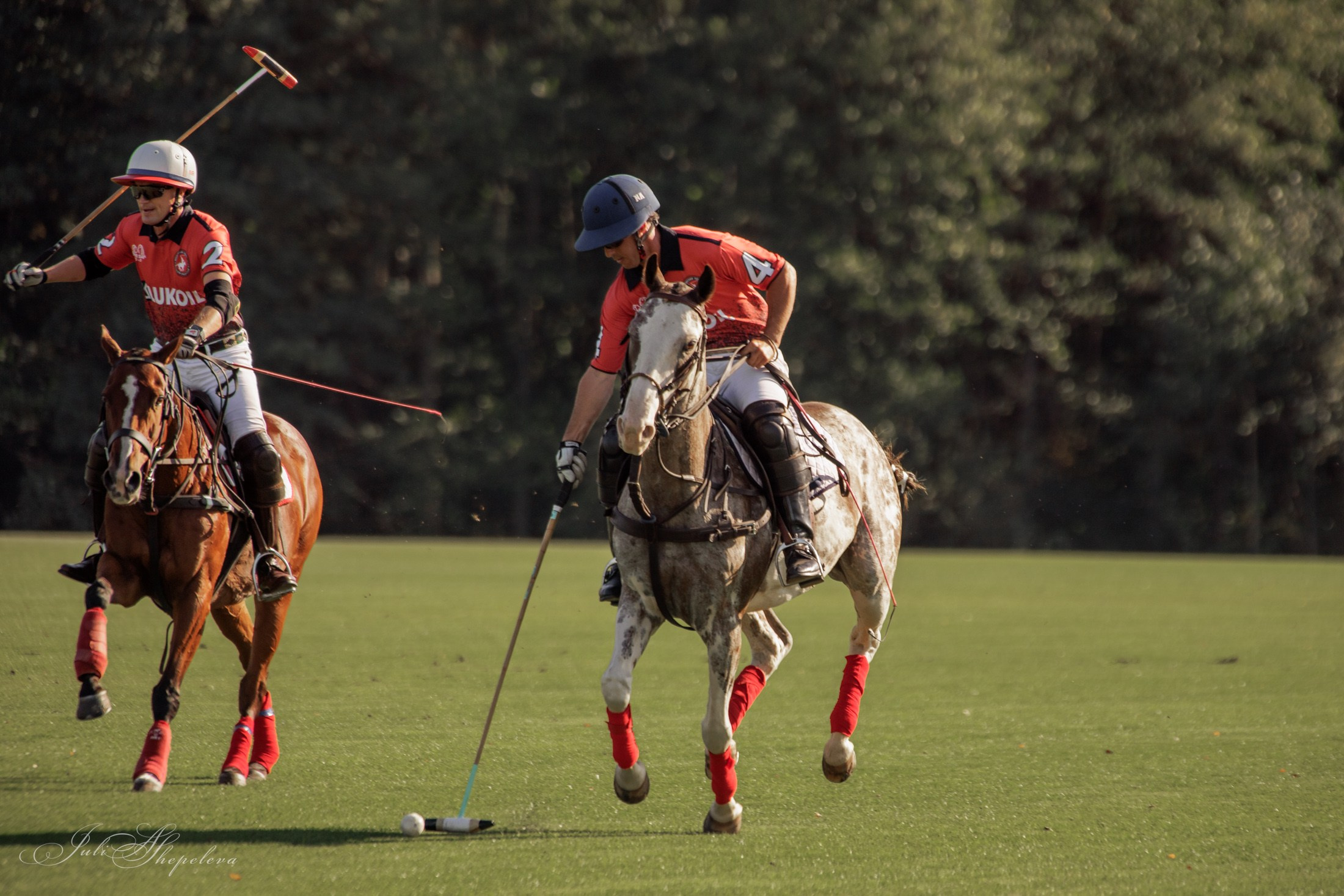Осенний кубок по конному поло. Детская Конная фотография в Москве Юлия Шепелева
