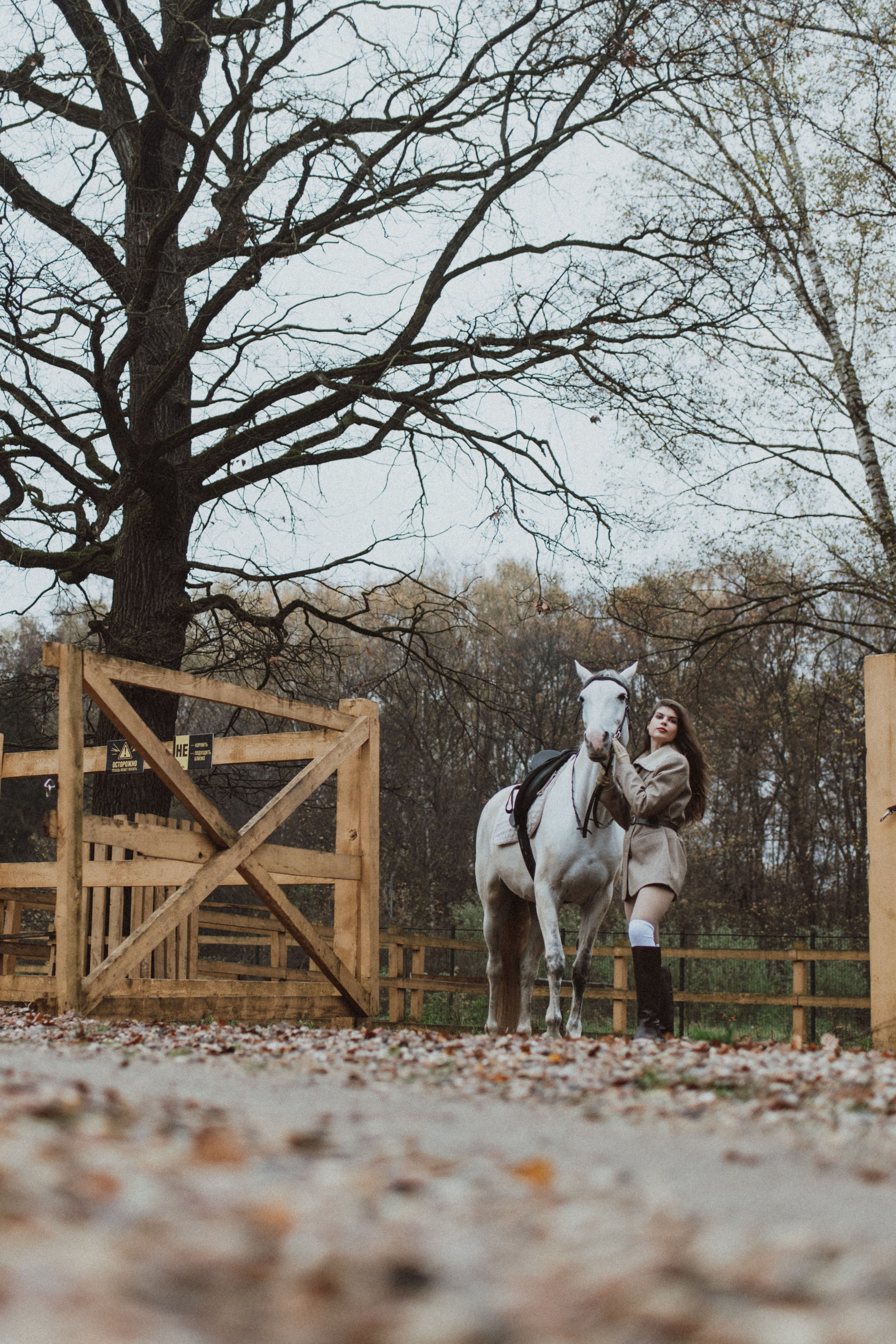 «Осенний ветер и грациозный скакун». Фотограф в Москве/Зарайске Шахова Марина