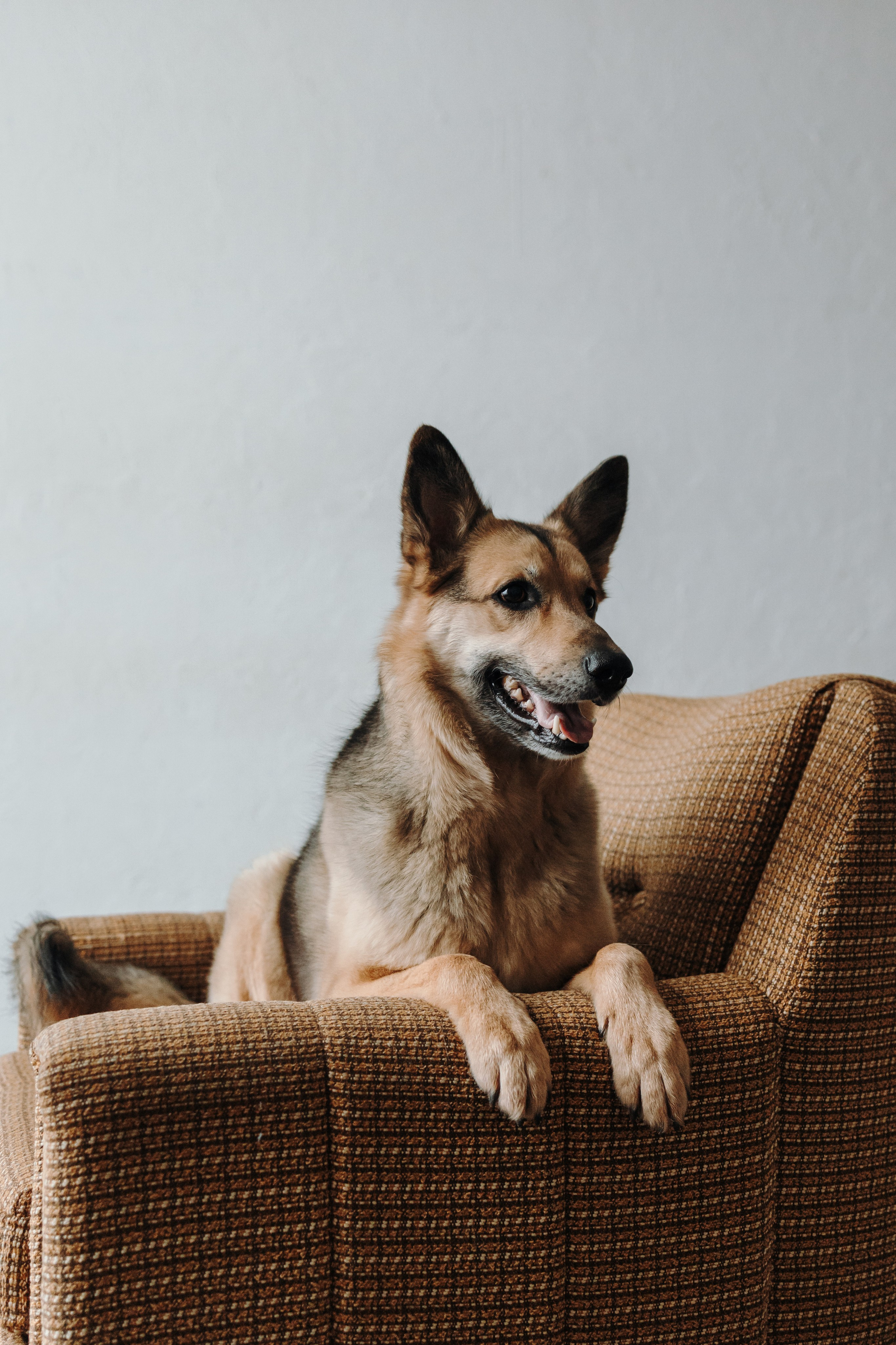 Лена и Дёма. Фотограф — Анималист | Санкт-Петербург