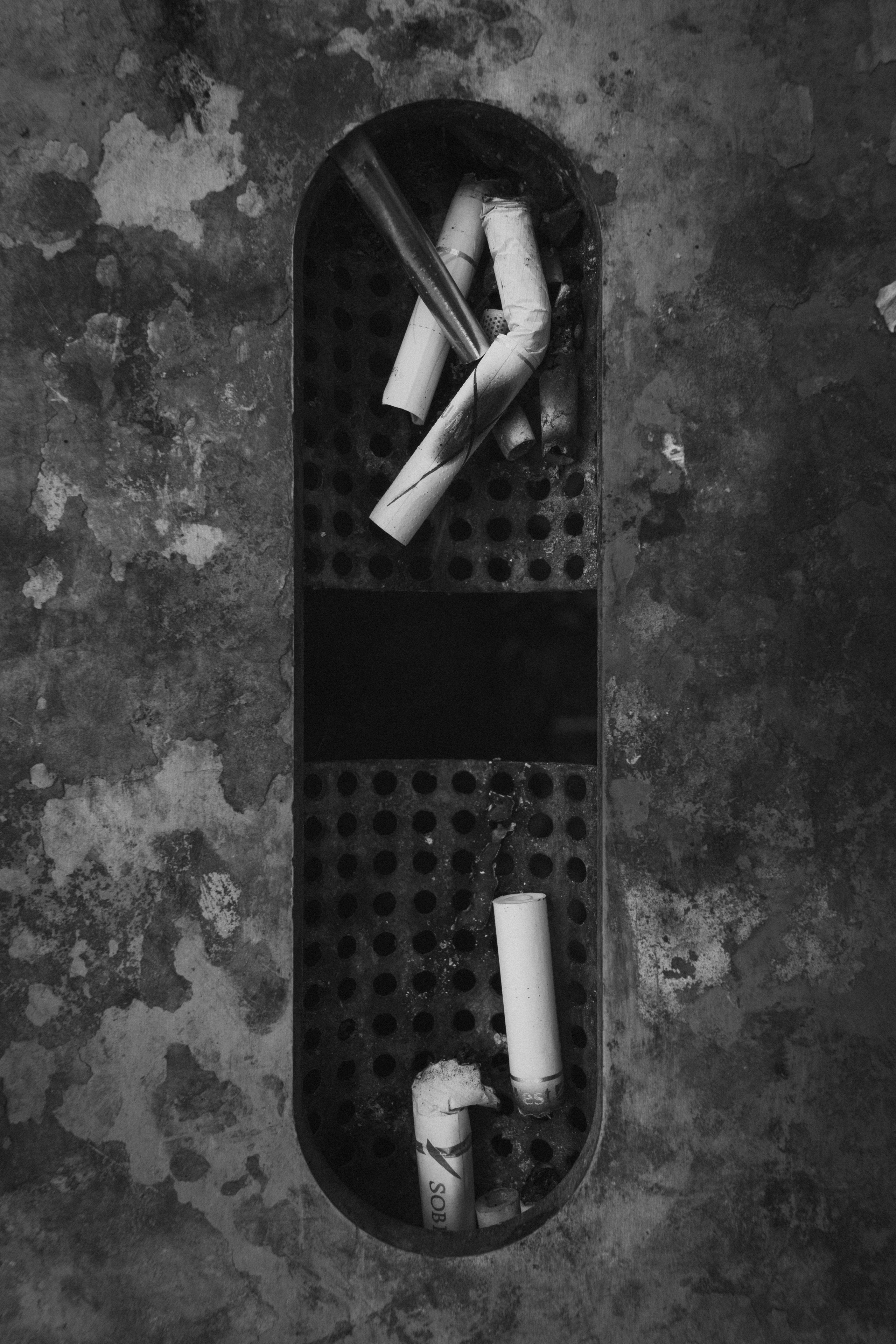 Intemporel. F11 production