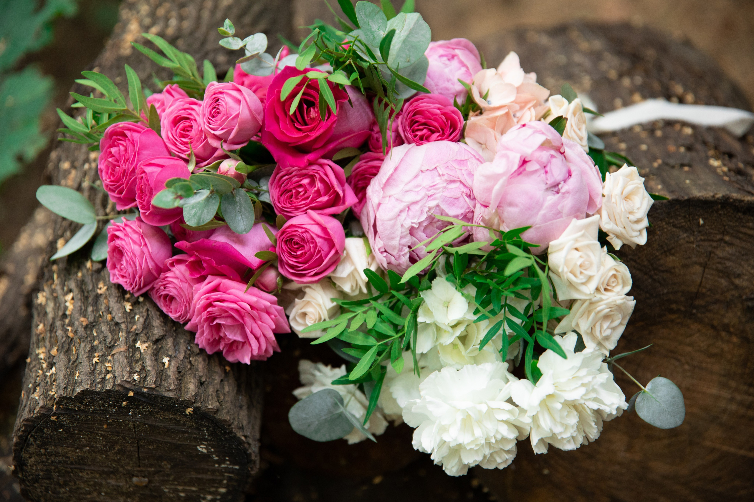 Вероника и Илья