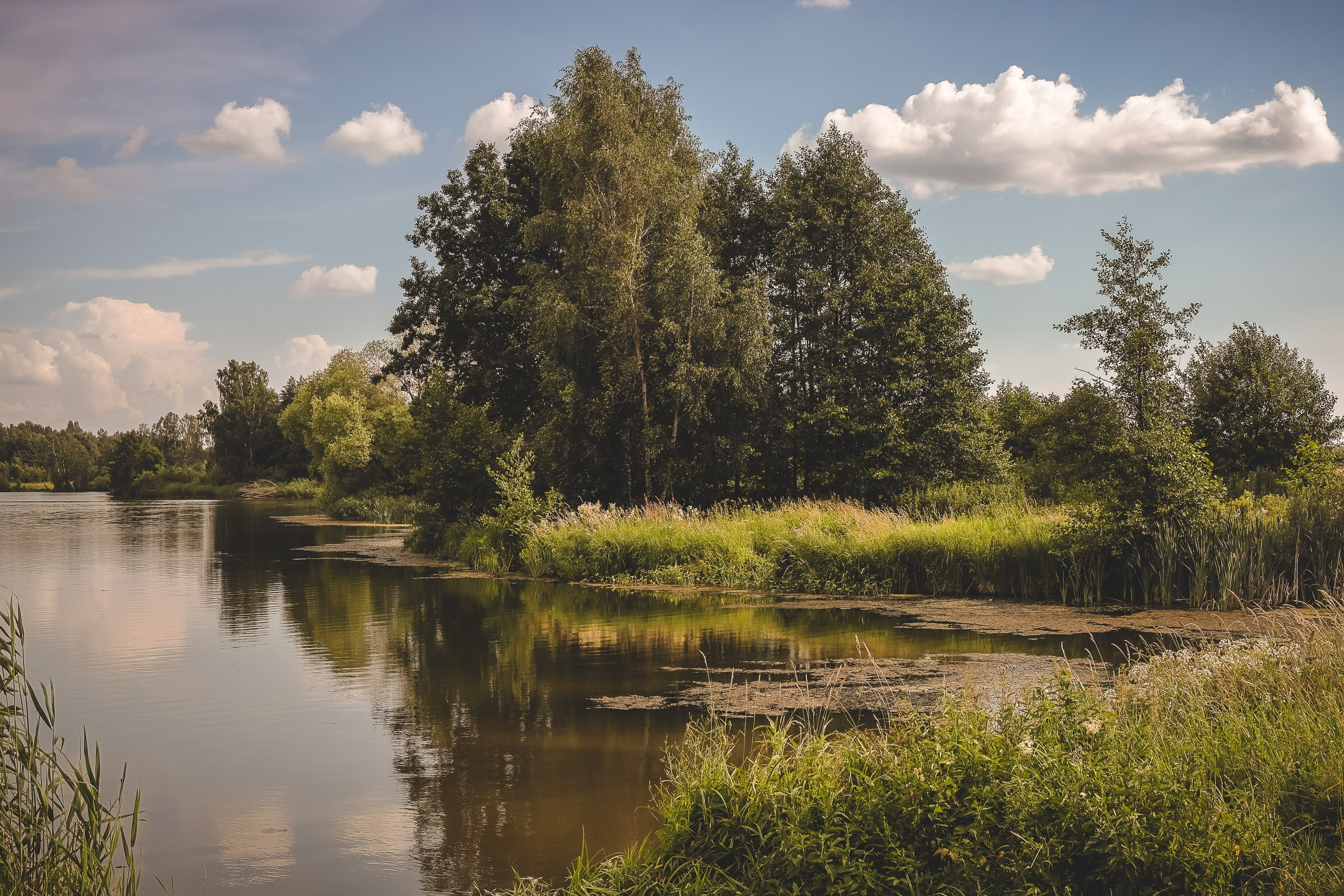 Летний день на речке Жданка