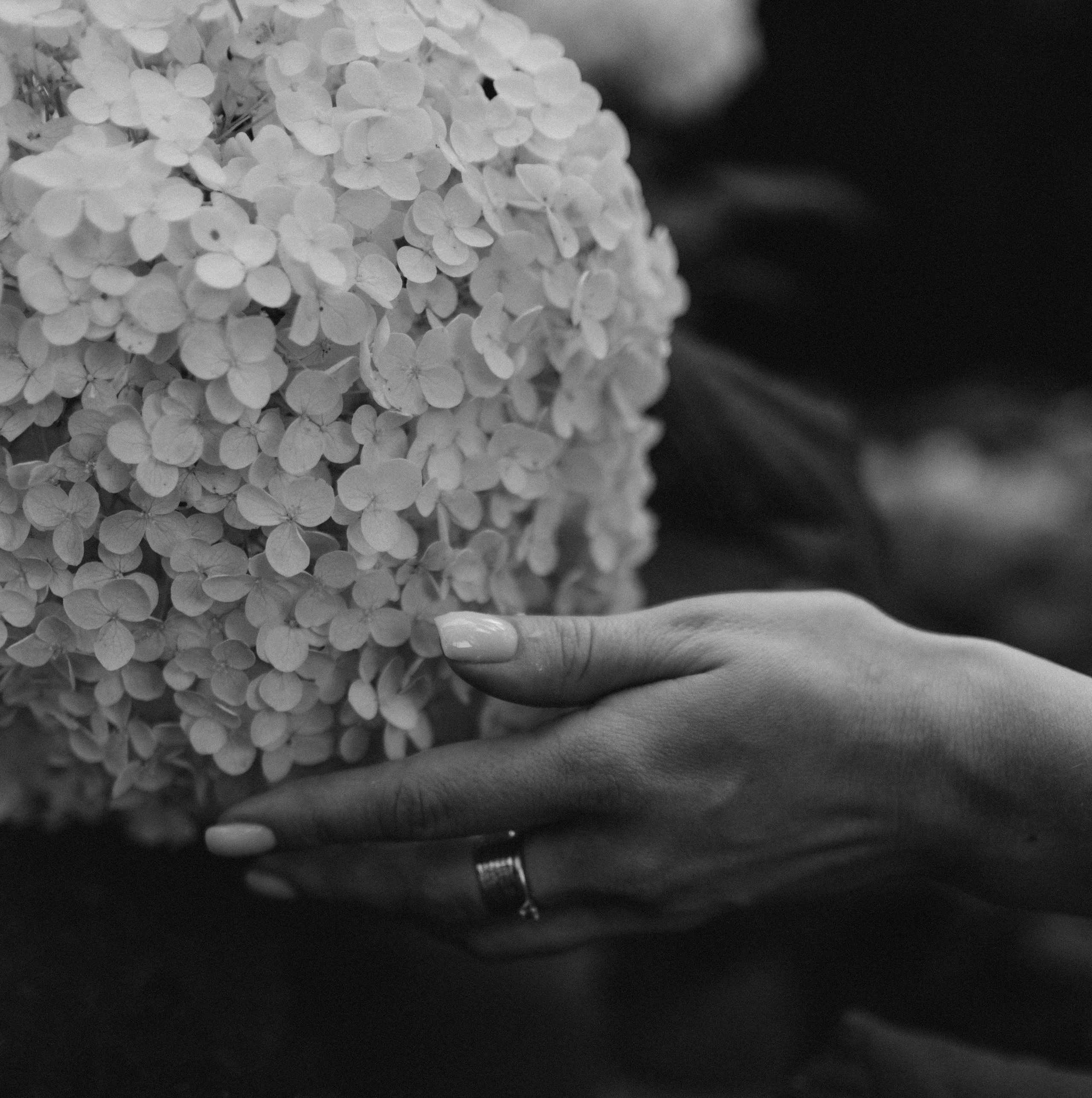 На рассвете. Фотограф в Москве Ольга Елоева