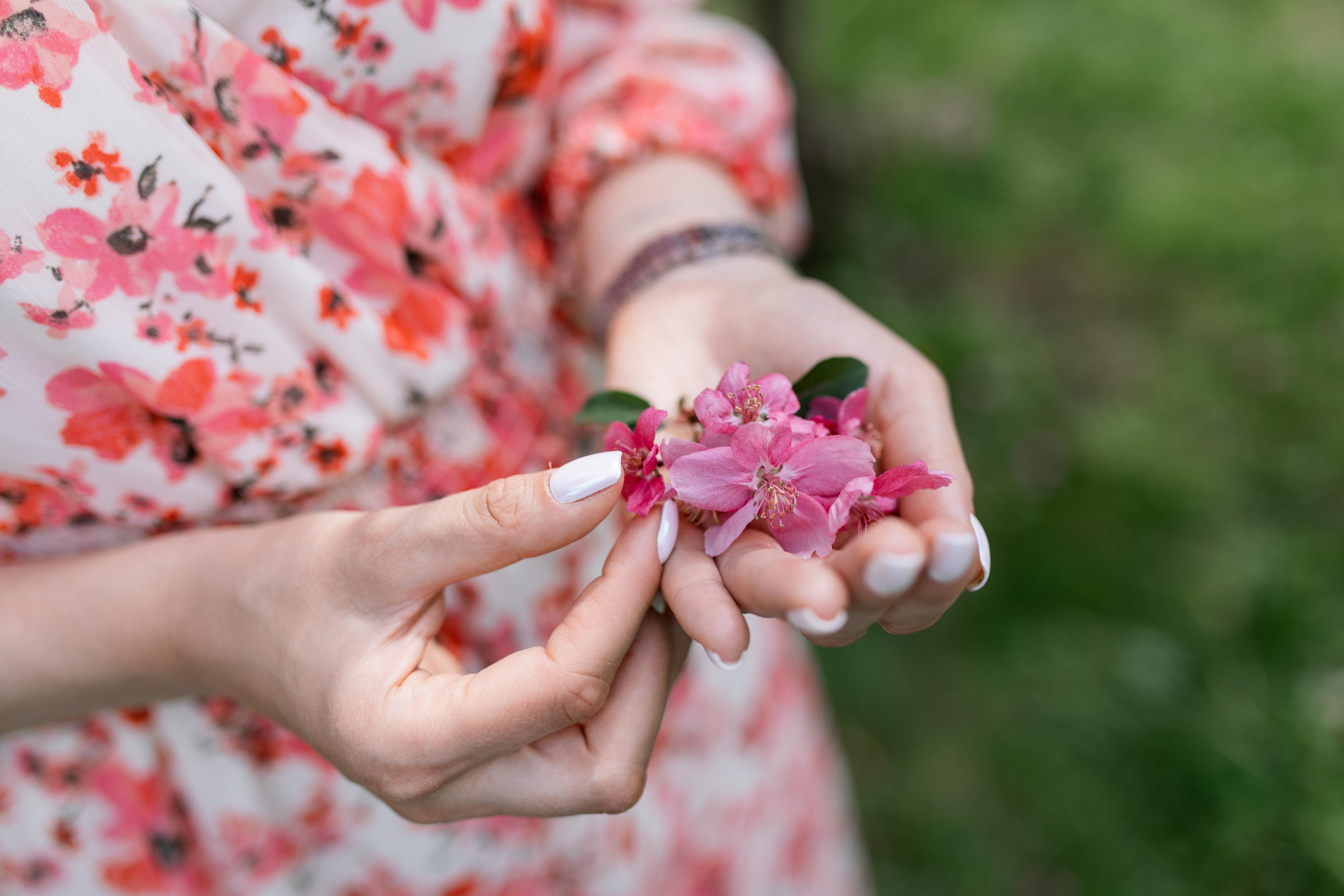 Японский садик. Фотограф Вера Зенина
