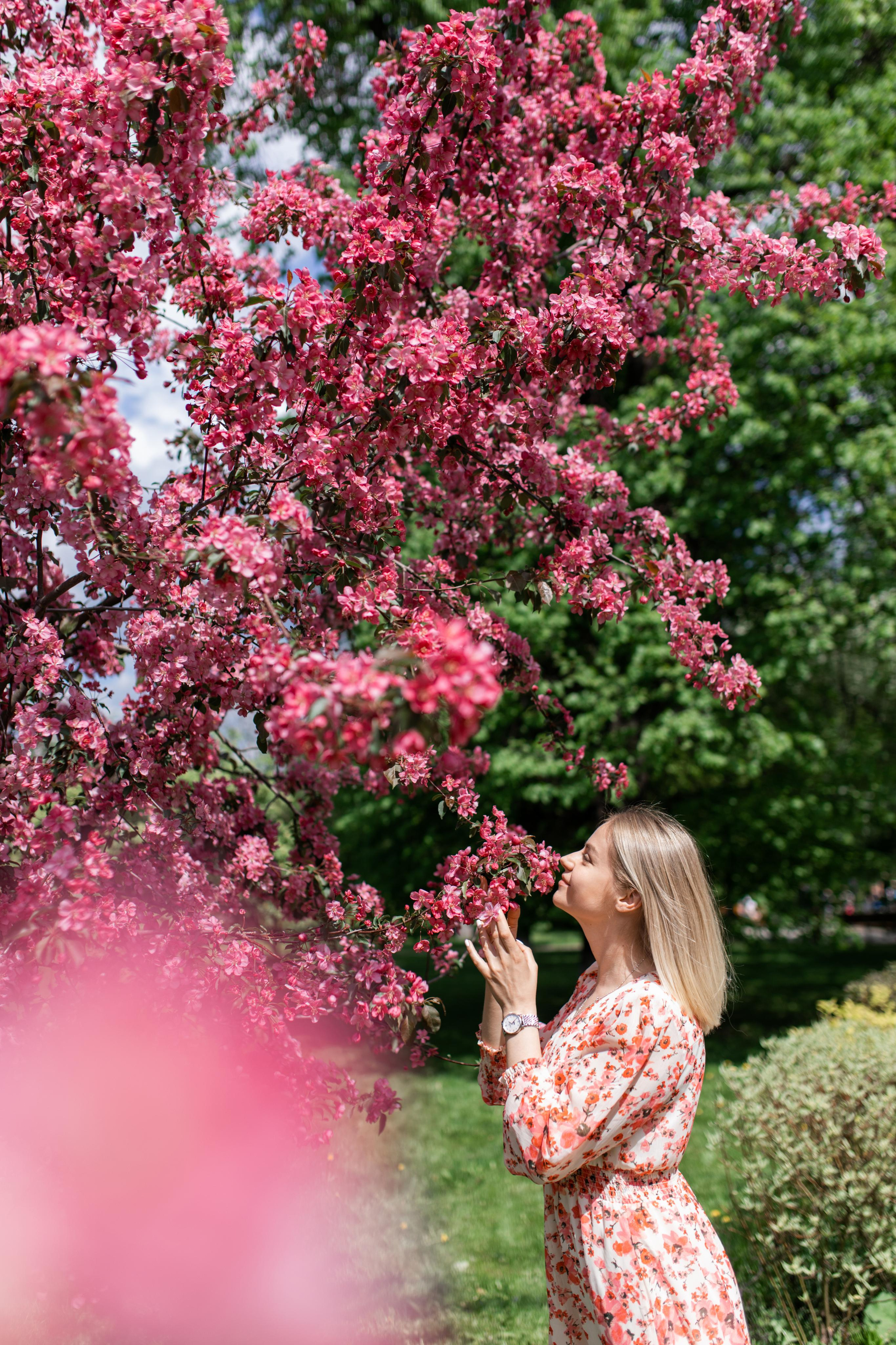 Японский садик. Фотограф Вера Зенина