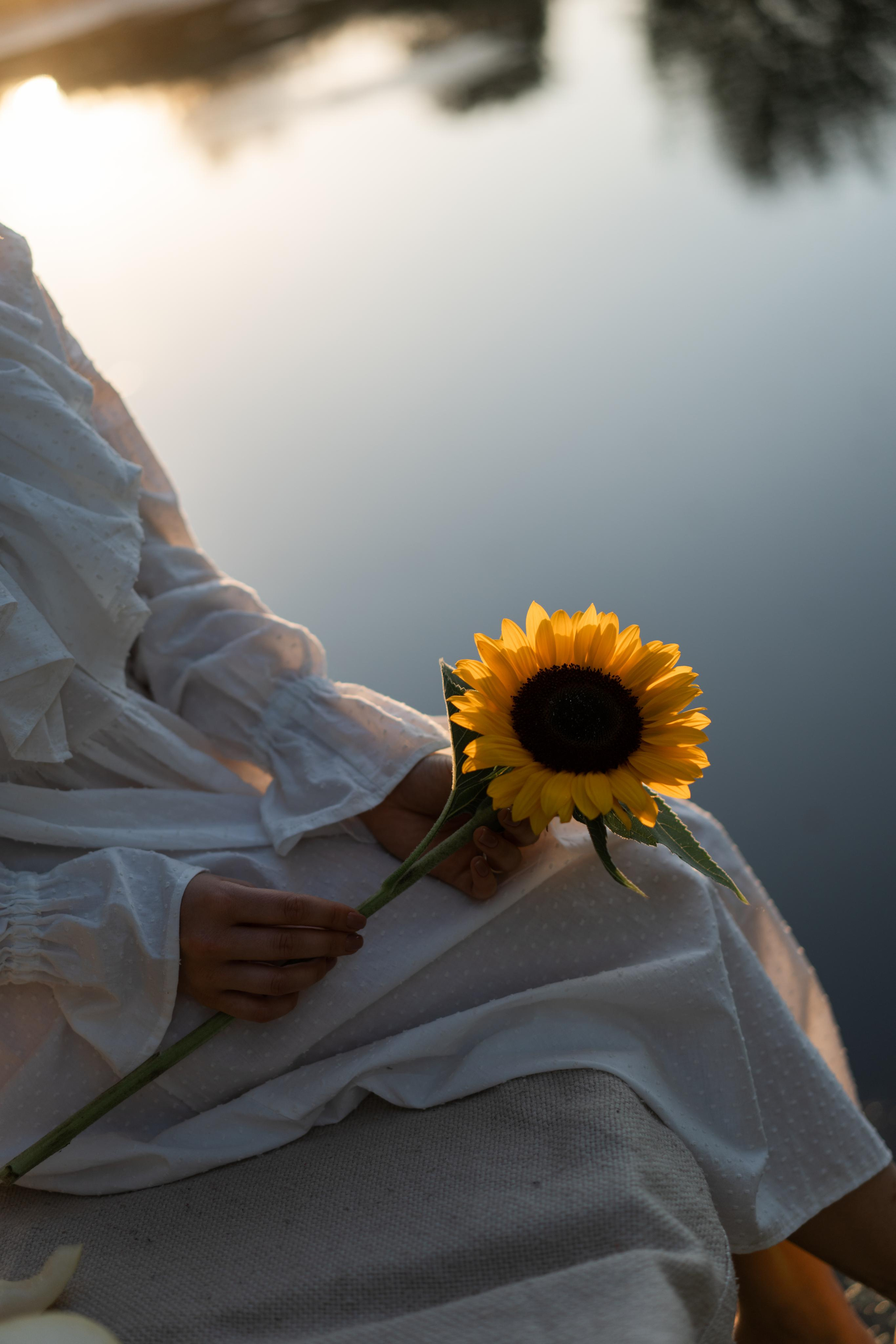 Тёплый вечер. Фотограф Вера Зенина