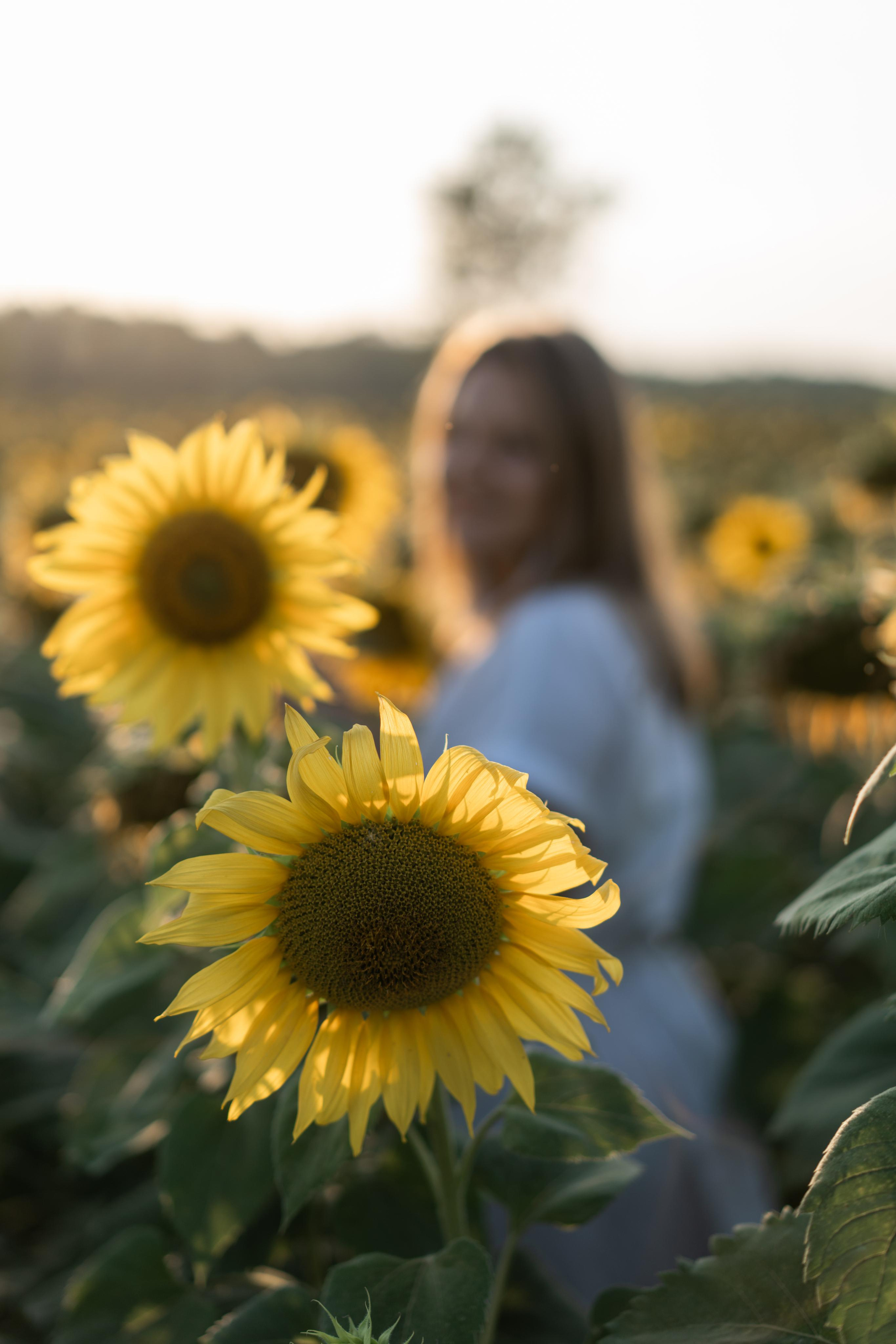 В Подсолнухах. Катюша. Фотограф Вера Зенина