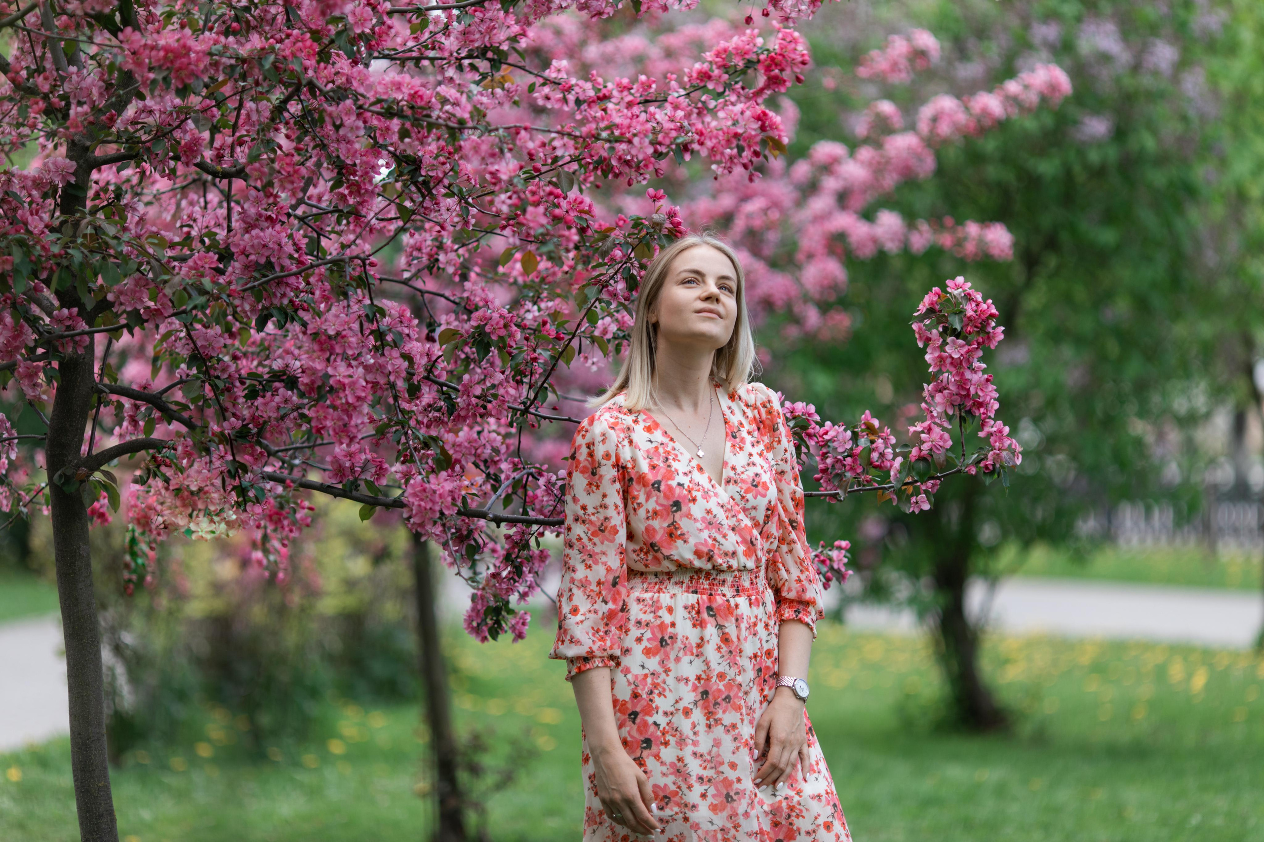 Японский садик. Фотограф Вера Зенина