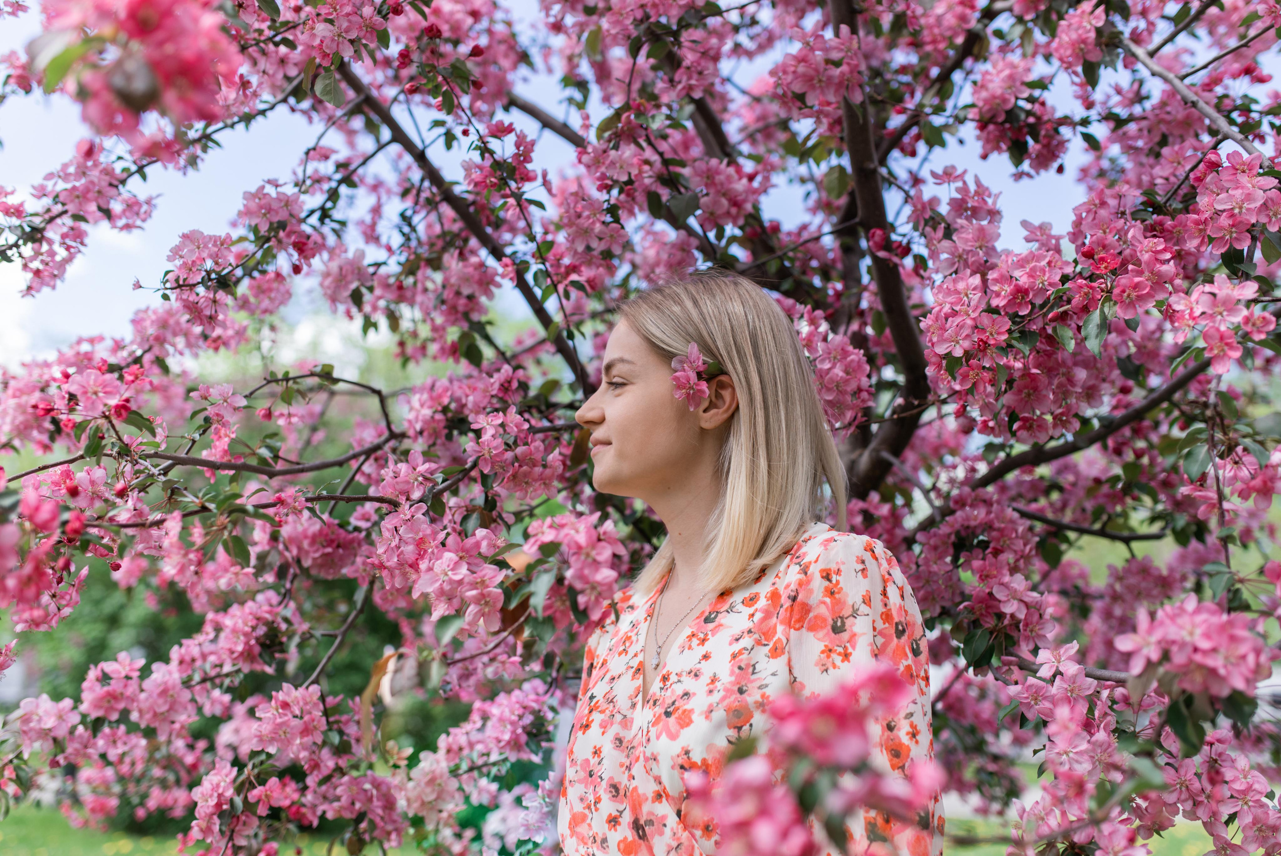 Японский садик. Фотограф Вера Зенина