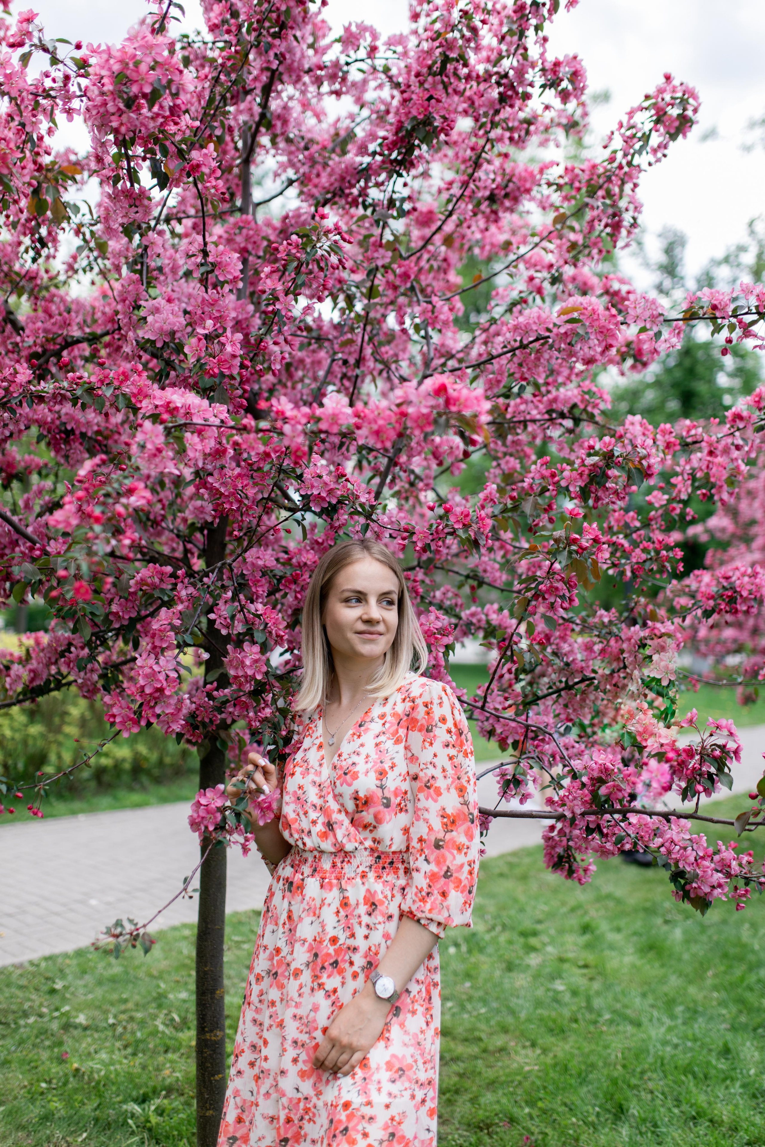 Японский садик. Фотограф Вера Зенина