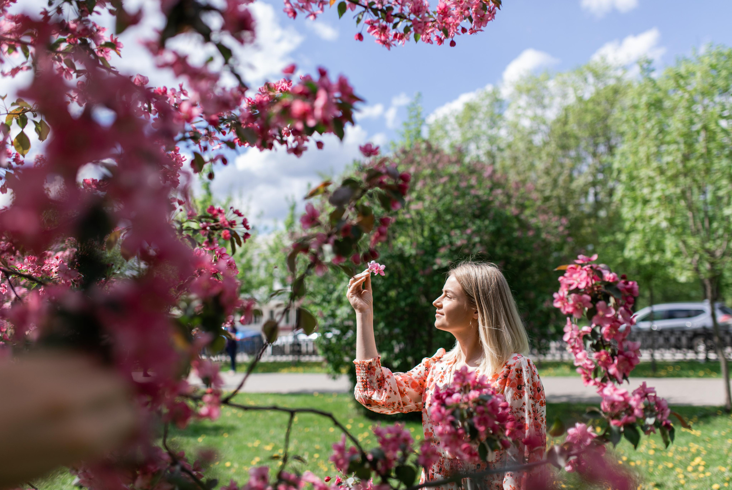 Японский садик. Фотограф Вера Зенина