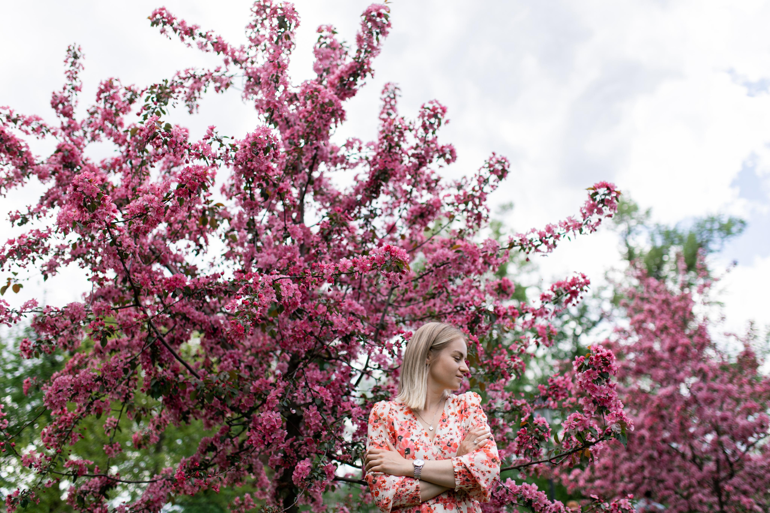 Японский садик. Фотограф Вера Зенина
