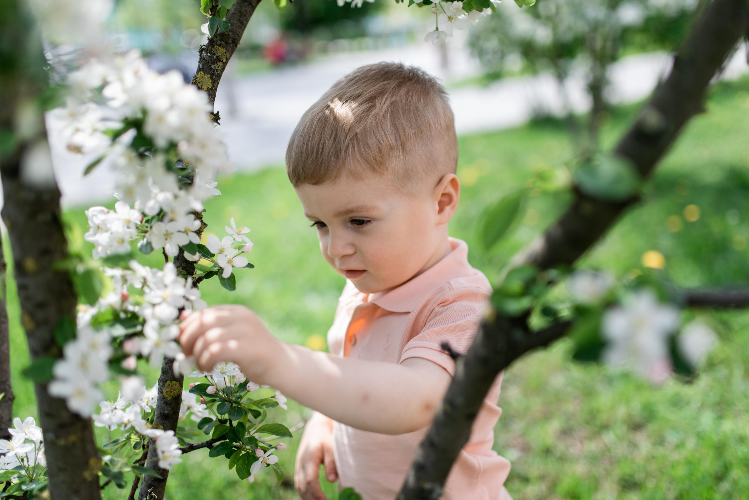 Саша, Саша и Степа. Фотограф Вера Зенина