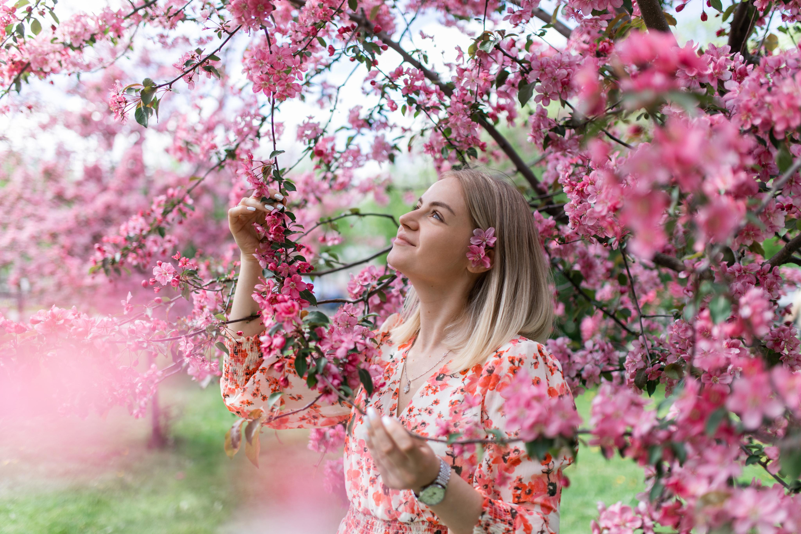 Японский садик. Фотограф Вера Зенина