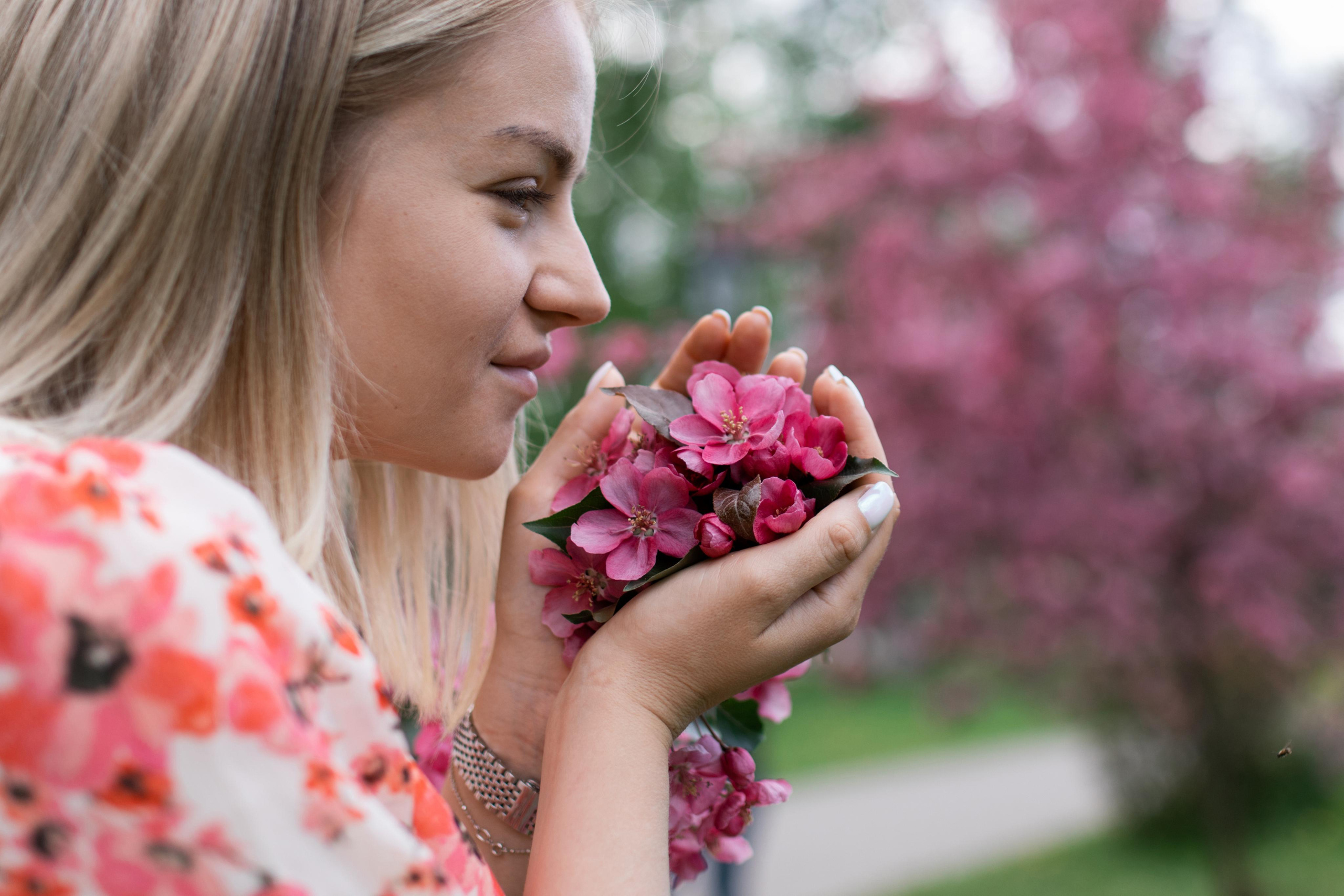 Японский садик. Фотограф Вера Зенина