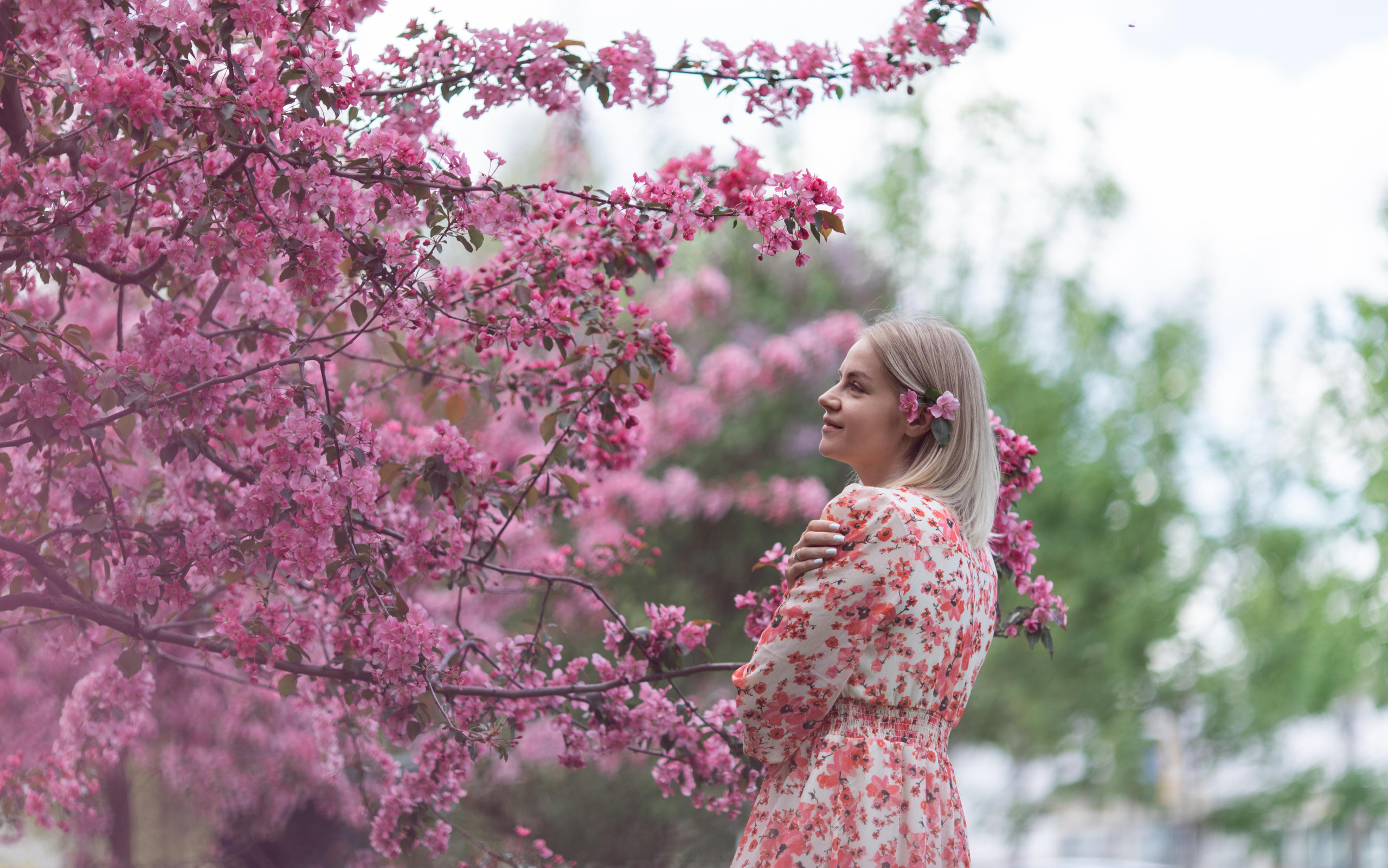 Японский садик. Фотограф Вера Зенина