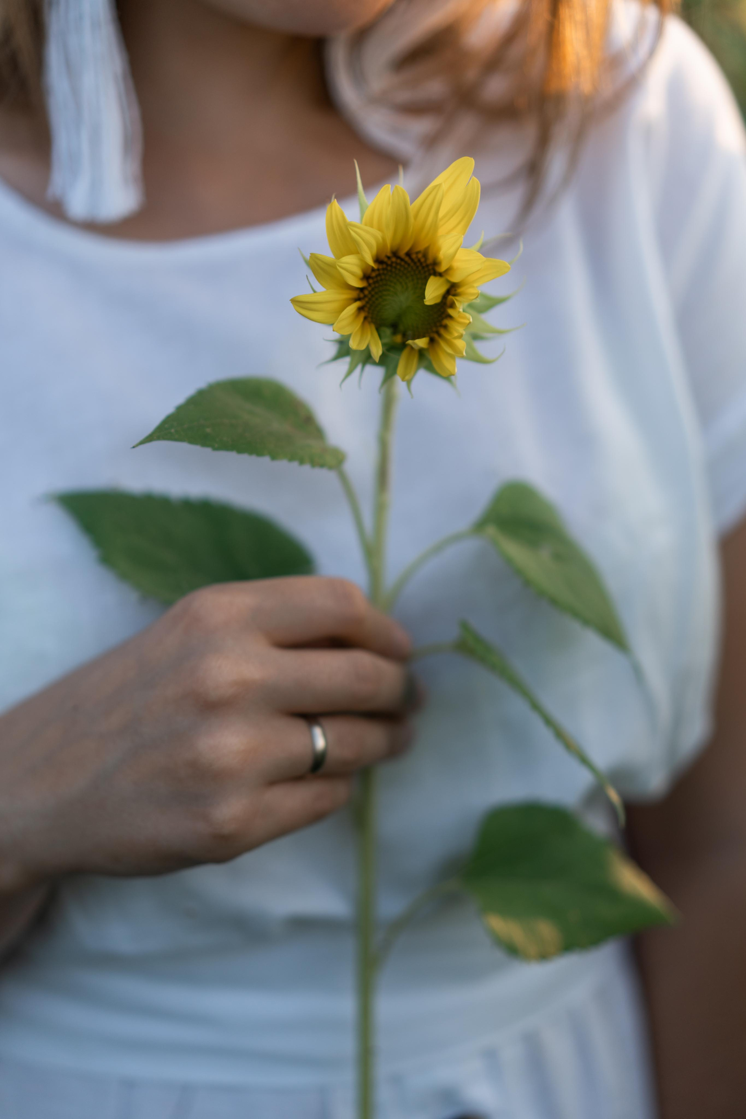 В Подсолнухах. Катюша. Фотограф Вера Зенина