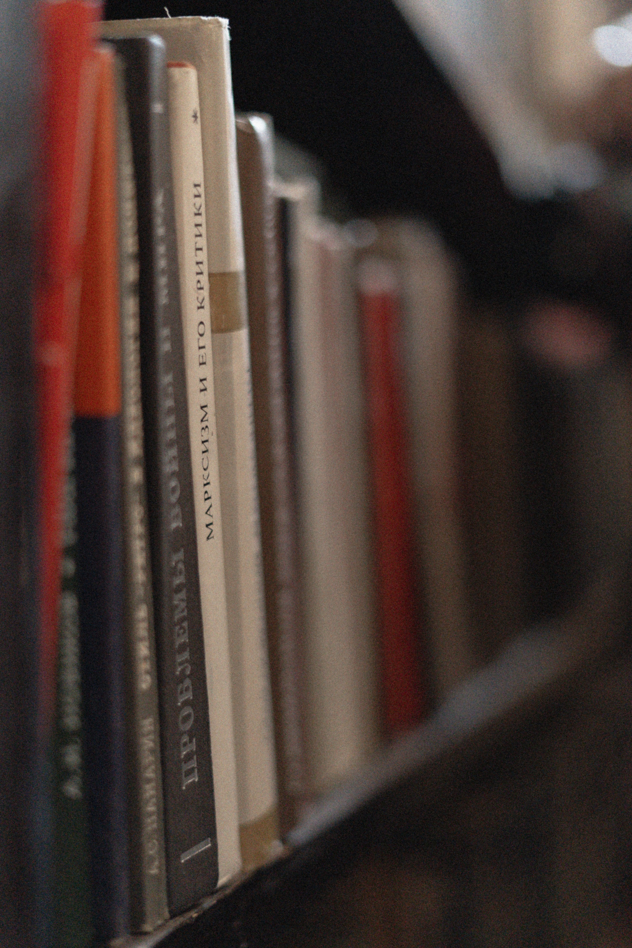 Шёпот страниц. Семейный фотограф в Челябинске Юлия Короткова